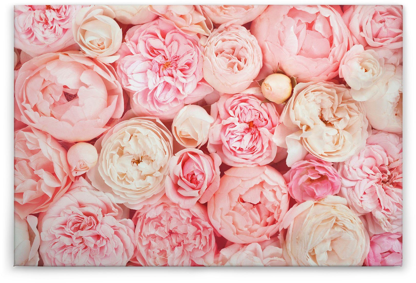 A.S. Création Leinwandbild Roses, (1 Rosen Romantische St), Rosenbild Blumen Keilrahmen