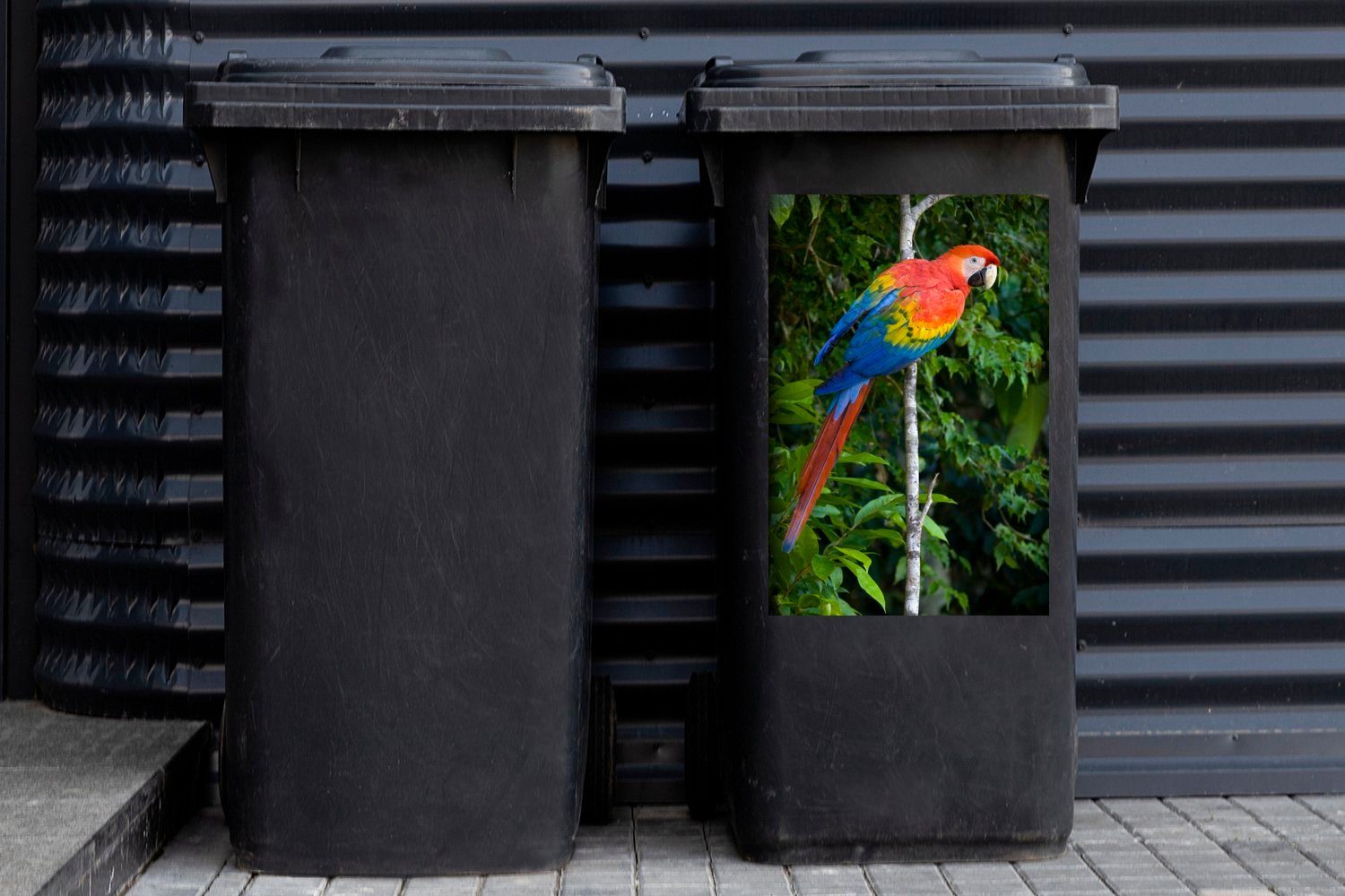 Sticker, Peru St), Papagei (1 Bunter in den Container, Abfalbehälter MuchoWow Wäldern Wandsticker des in Mülltonne, Manu-Nationalparks Mülleimer-aufkleber,