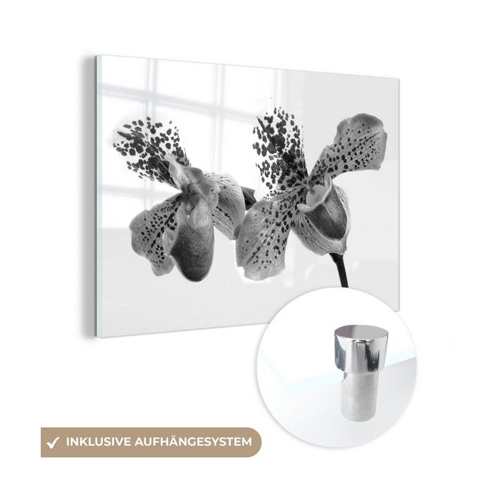 MuchoWow Acrylglasbild Orchideenblüten - schwarz und weiß (1 St) Acrylglasbilder Wohnzimmer & Schlafzimmer
