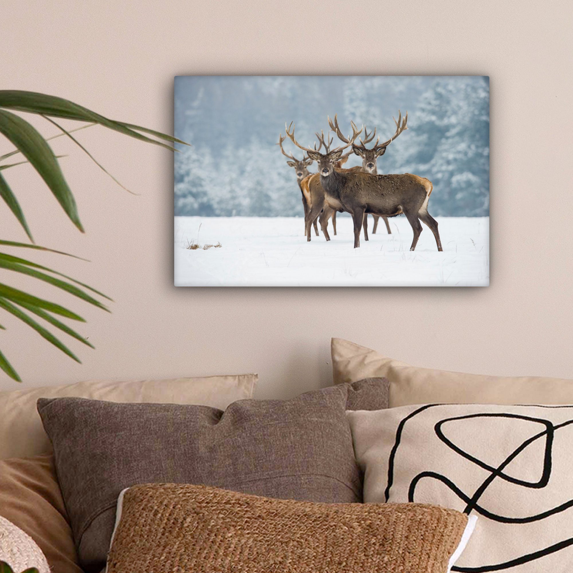 OneMillionCanvasses® Leinwandbild Hirsche - Tiere - Schnee - Winter - Lands günstig online kaufen