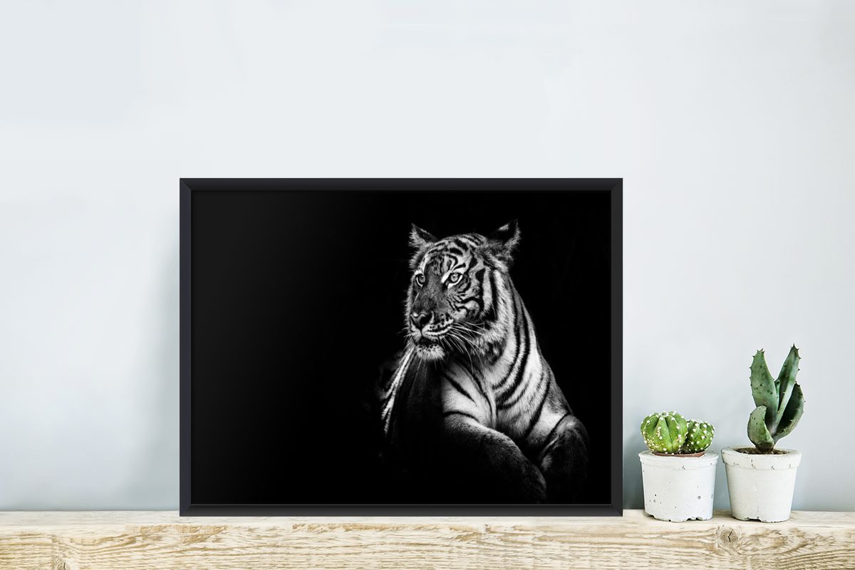 MuchoWow Poster Tiger - - Tiere (1 Poster, Gerahmtes Bilderrahmen Wanddeko, Weiß, - Schwarzem St), Wandposter, Bilder, Schwarz