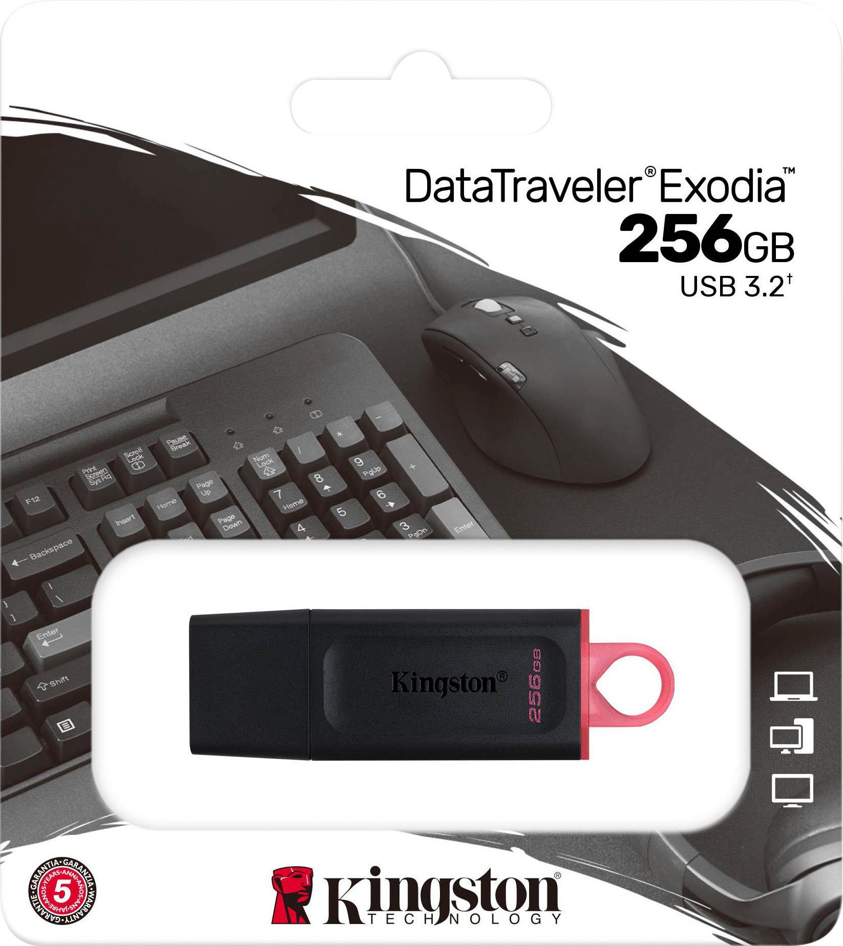 Kingston DATATRAVELER EXODIA 256GB USB-Stick (USB 3.2)