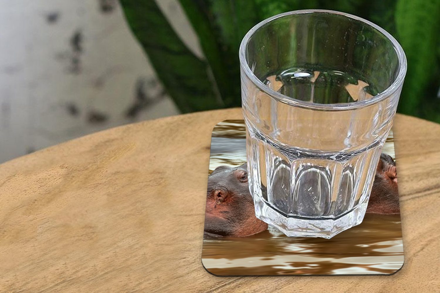 MuchoWow Glasuntersetzer Nilpferd - Tischuntersetzer, 6-tlg., - Wasser, Tiere Zubehör für Gläser, Untersetzer, Glasuntersetzer, Tasse Korkuntersetzer