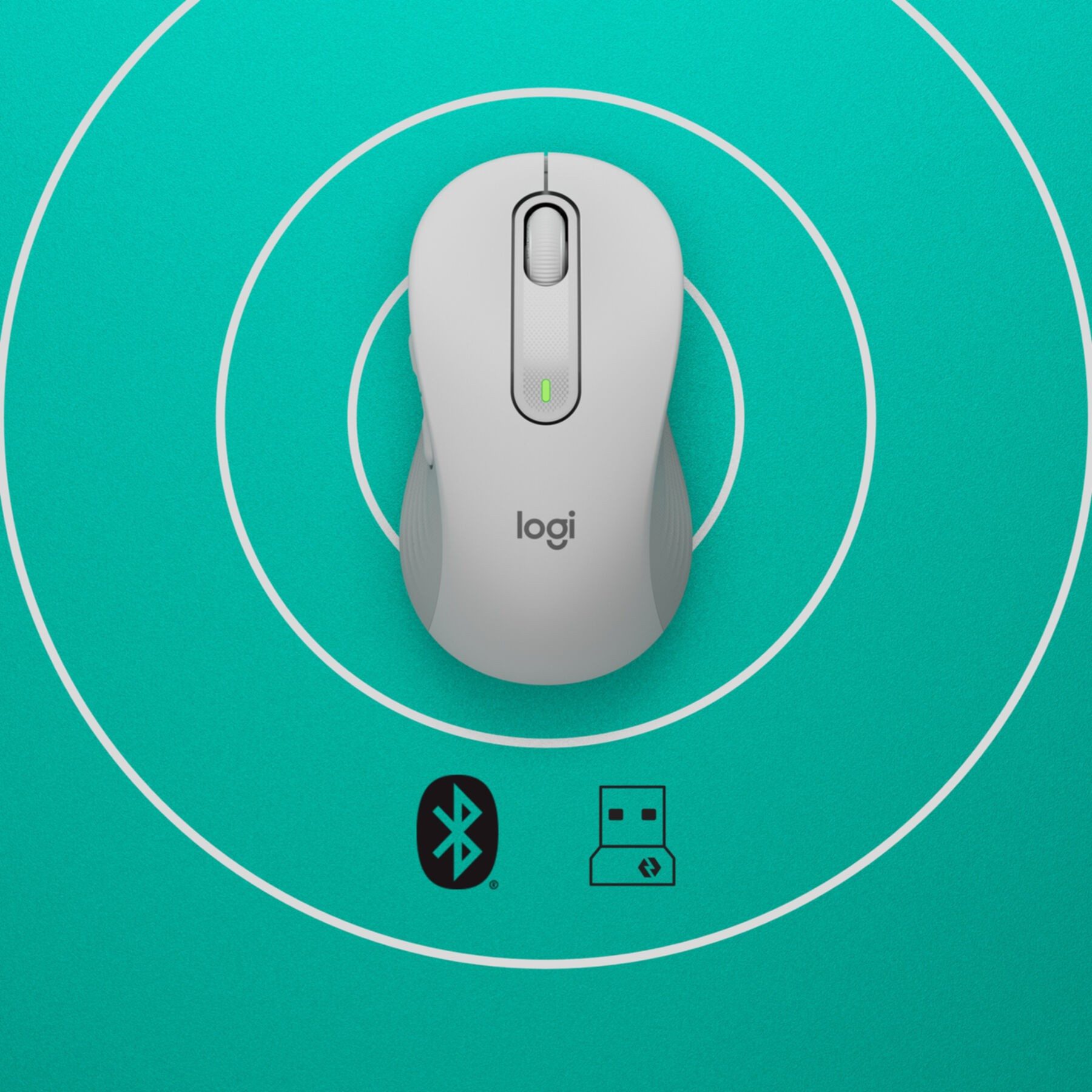 Logitech Signature M650 Maus (RF kabellos + Bluetooth)