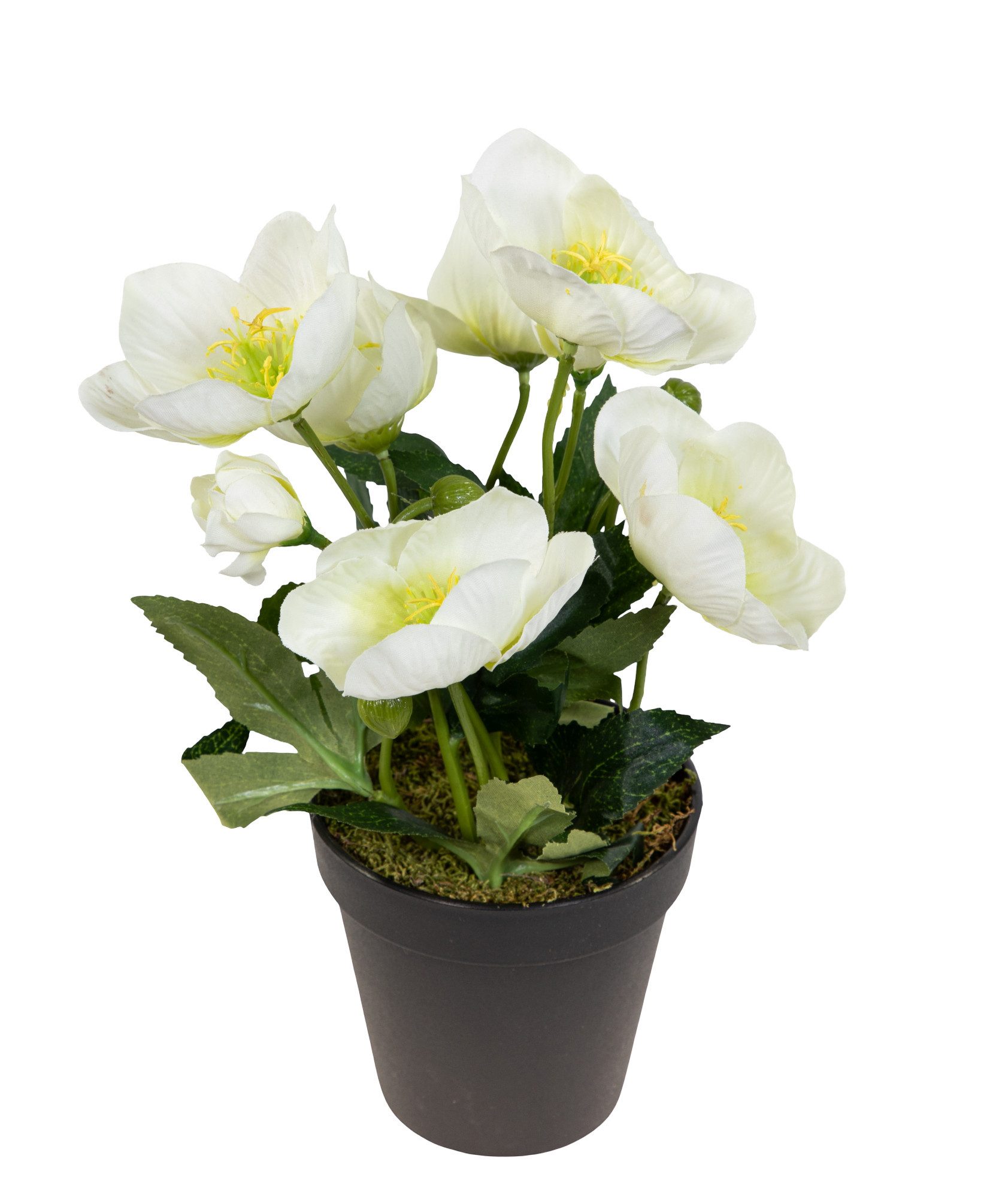 Kunstblume Christrosenbusch im Topf PM Kunstpflanzen günstig online kaufen