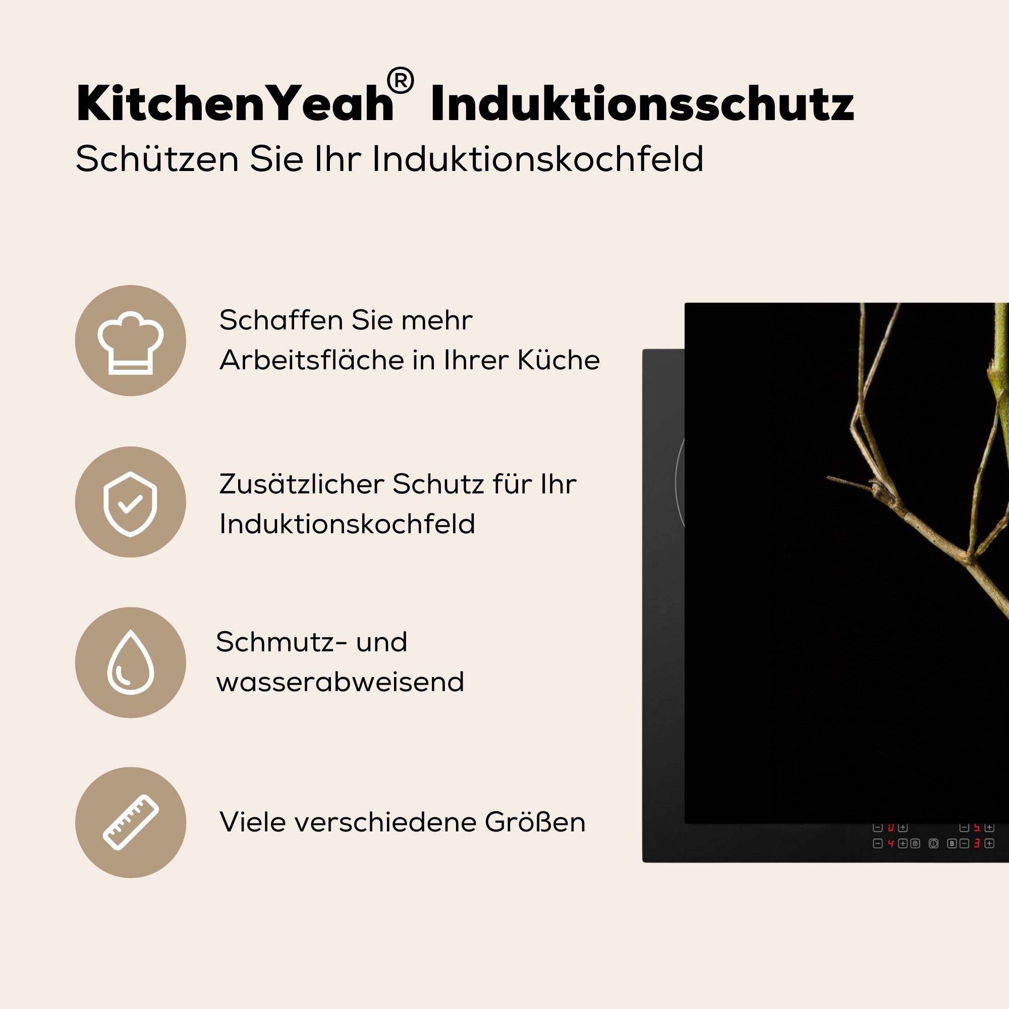 MuchoWow Herdblende-/Abdeckplatte Insekten - küche Schwarz, cm, für - 78x78 Ceranfeldabdeckung, (1 Vinyl, Wanderast Arbeitsplatte tlg)