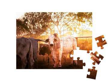puzzleYOU Puzzle Jungbullen im Gehege, Australien, 48 Puzzleteile, puzzleYOU-Kollektionen Rinder, Bauernhof-Tiere