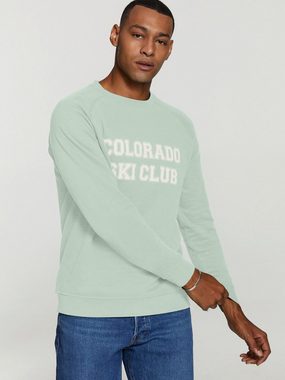 Shiwi Sweatshirt (1-tlg) Plain/ohne Details