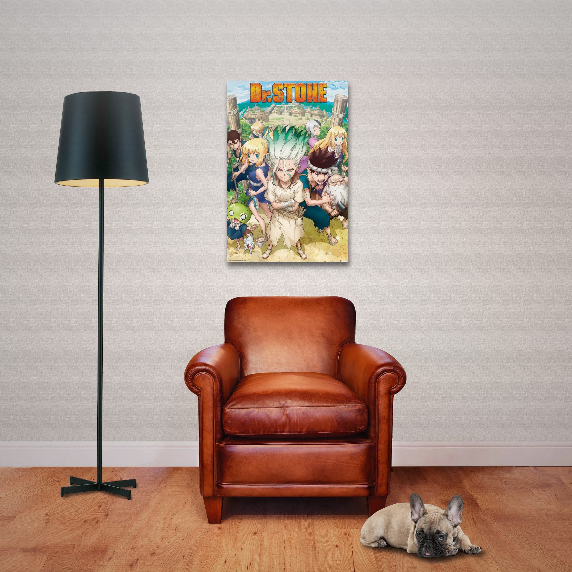 Poster Dr. Stone - Poster - Group