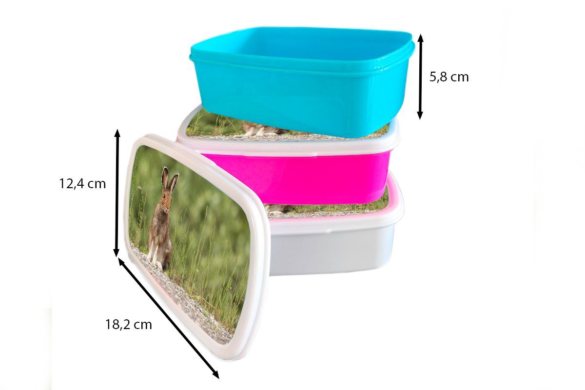 MuchoWow Lunchbox Gras, für weiß Brotdose, (2-tlg), und Mädchen Kunststoff, und Jungs - Erwachsene, Hase Brotbox Kinder Tier - für