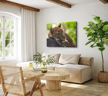 Sinus Art Leinwandbild 120x80cm Wandbild auf Leinwand Jaguar im Dschungel Tierfotografie Raub, (1 St)