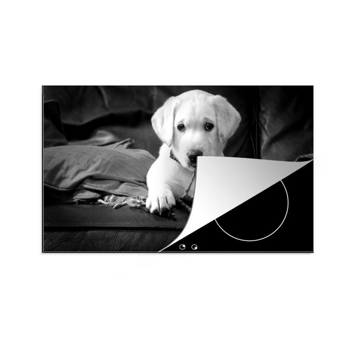 MuchoWow Herdblende-/Abdeckplatte Labrador Welpe mit Decke - schwarz und weiß Vinyl (1 tlg) Ceranfeldabdeckung für die küche Induktionsmatte