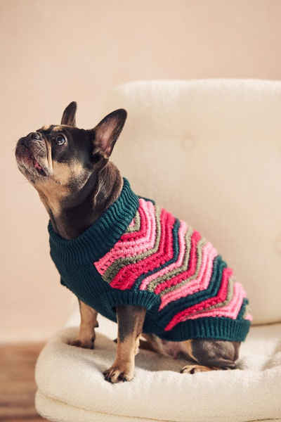Next Hundepullover Pullover mit Hundemotiv hell-gestreift