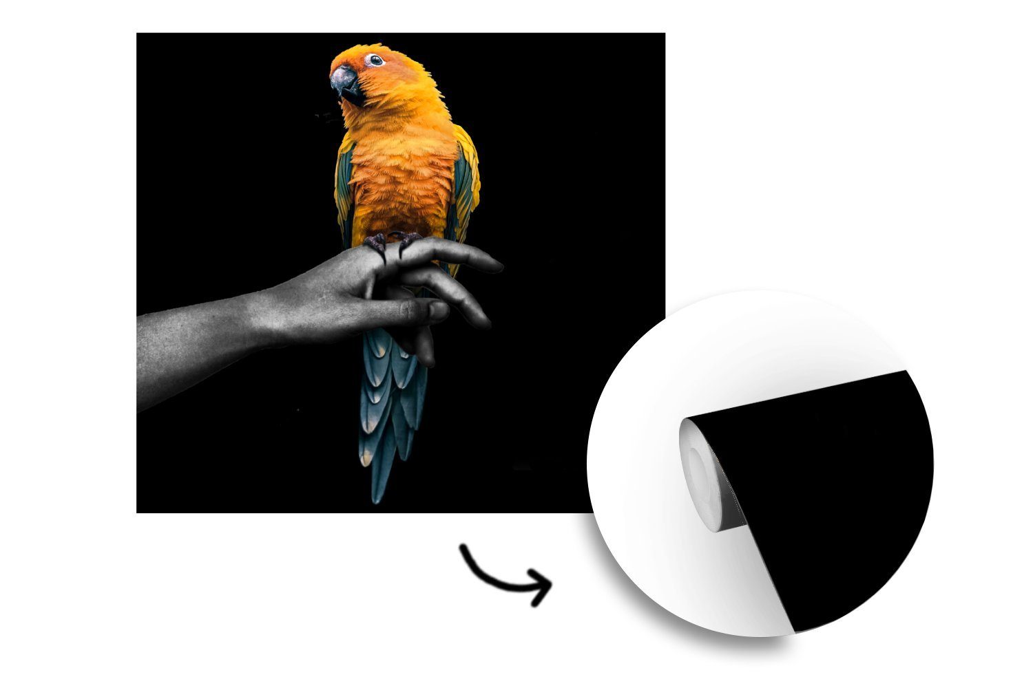 MuchoWow Fototapete Vogel - Papagei bedruckt, Schlafzimmer, Vinyl oder für (5 Hand Tapete Wohnzimmer - St), Gelb, Matt, Wandtapete 