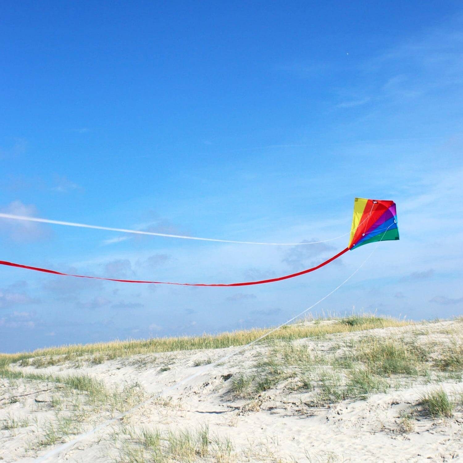 Wolkenstürmer Kite Zweileiner Flugdrachen Kinder & Erwachsene mit Schwanz 90cm, (inklusive Flugleinen und Flugschlaufen, 1-tlg), Lenkdrachen Racer (regenbogen) - Ready to Fly 90cm