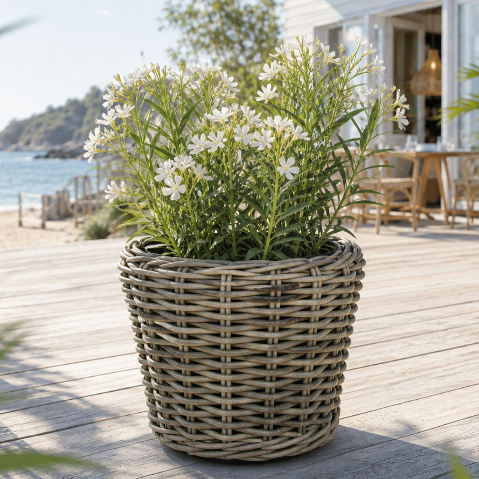 Van der Leeden Blumentopf Blumenkorb Pflanzkorb 36x28cm Rattan Weide Sylter Korb Drypot 12L (1 St), Indoor & Outdoor, Rattan, 12 L, Naturprodukt, incl. Kunststoffeimer