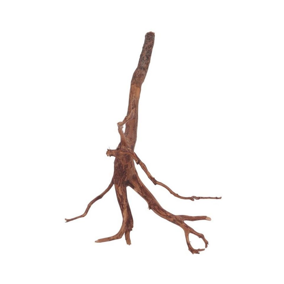 Aquaone Aquarium M Red Spider Wurzel Nr.6030 Fingerwurzel Echtholz Deko ...