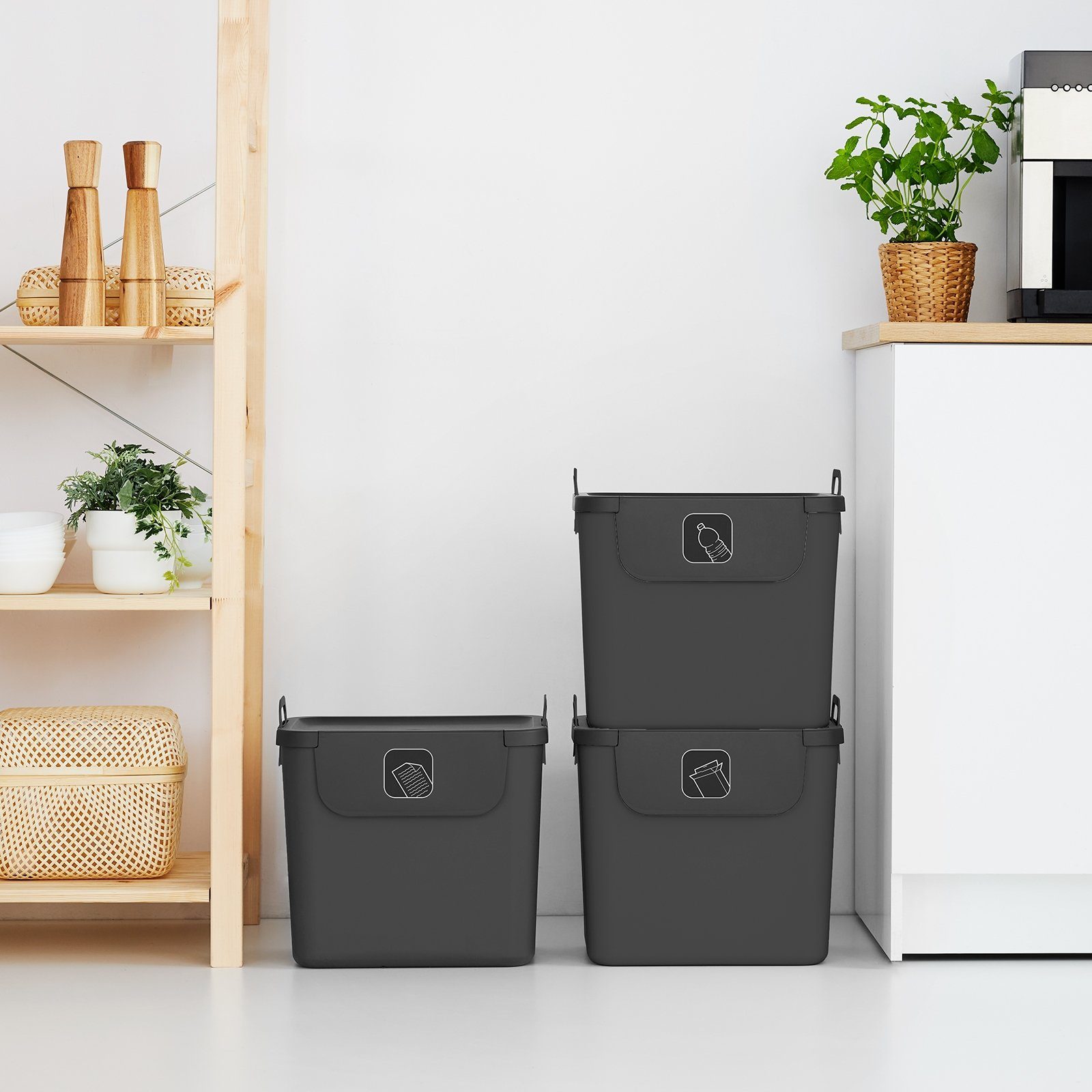 ROTHO Mülltrennsystem SALSA Mülltrennsystem 3x30 l stapelbar mit Klappdeckel