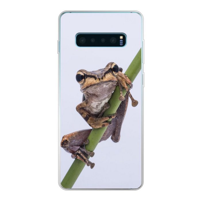 MuchoWow Handyhülle Frosch - Zweig - Grau Phone Case Handyhülle Samsung Galaxy S10 Lite Silikon Schutzhülle
