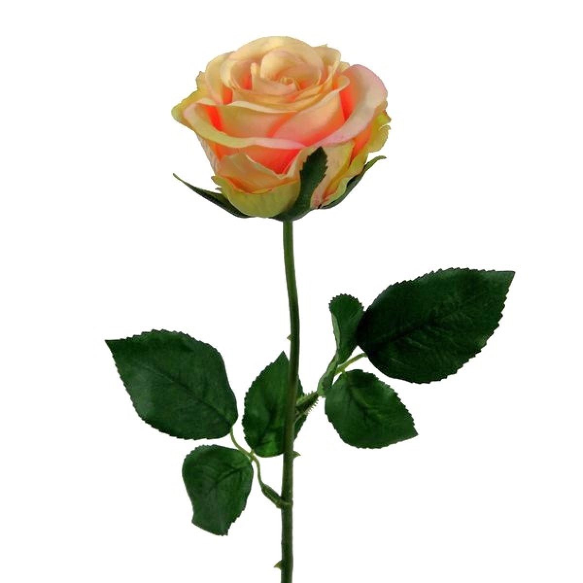Kunstblume Künstliche Rose Wasserstiel, ca 47cm. Kunstblume Dekoblume, Gasper, Höhe 47.00 cm