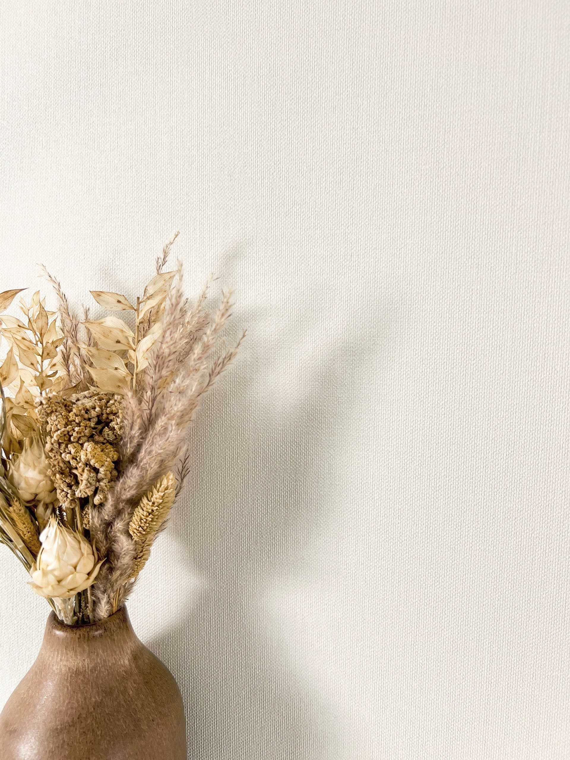 Newroom Vliestapete Flaris Uni Creme Tapete Universal Unifarbe,Struktur,Lei günstig online kaufen