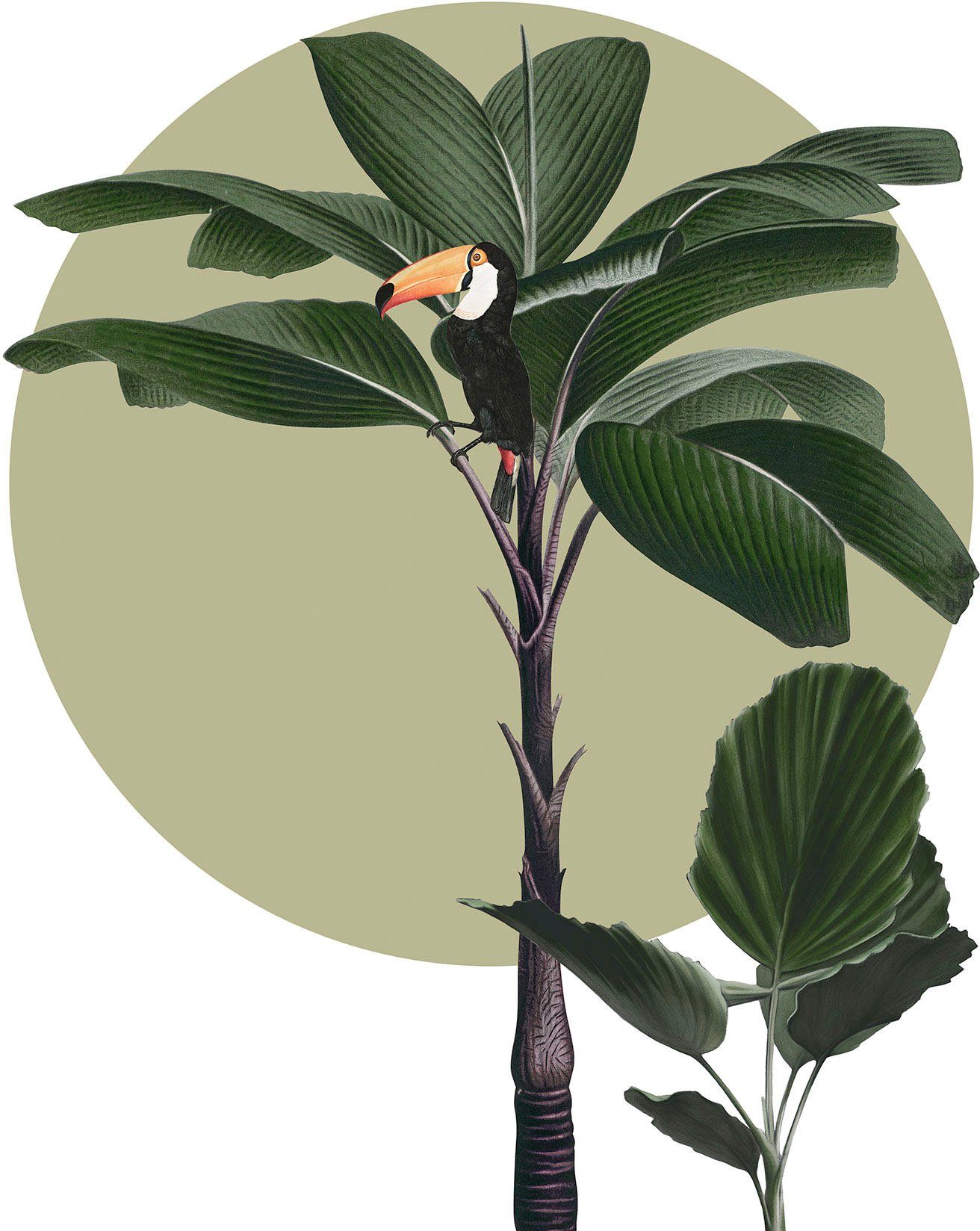 Komar Bild Botanical Garden Palmtree, Natur (1 St), Wandbild zur Dekoration - ohne Rahmen