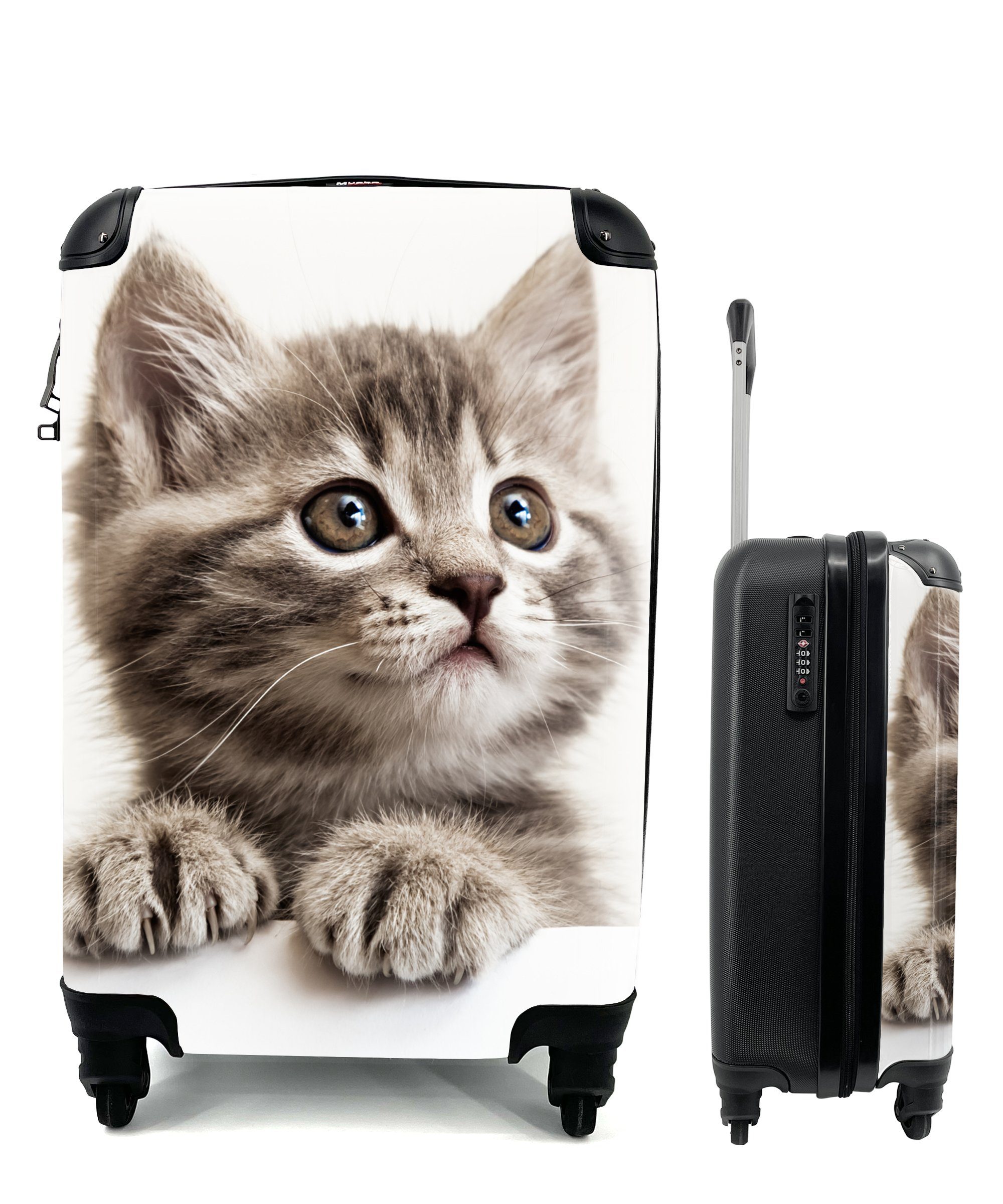 Handgepäckkoffer Katze - Grau - Tiere