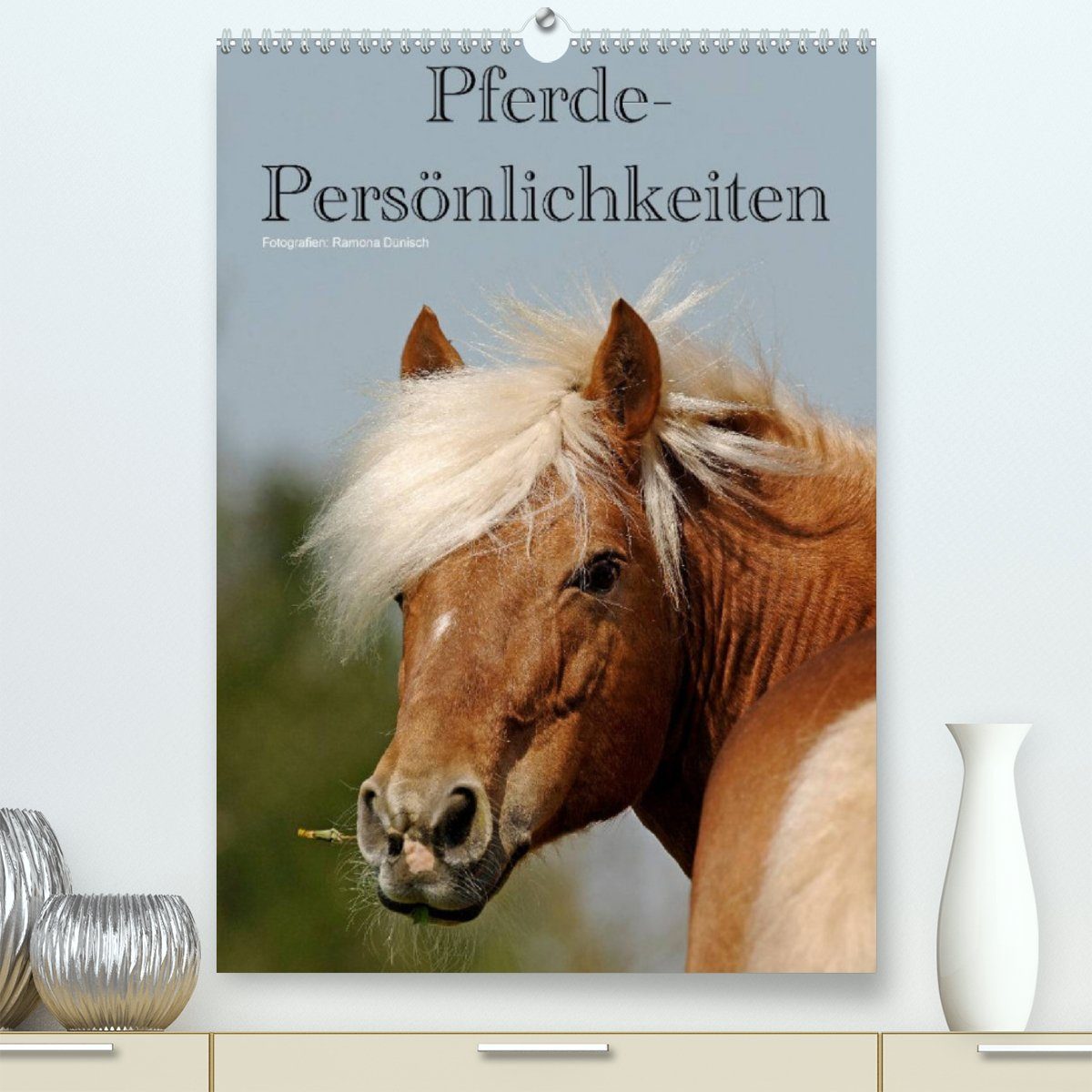 CALVENDO Wandkalender Pferde-Persönlichkeiten - ausdrucksstarke Gesichter verschiedener Pferderassen (Premium, hochwertiger DIN A2 Wandkalender 2023, Kunstdruck in Hochglanz)