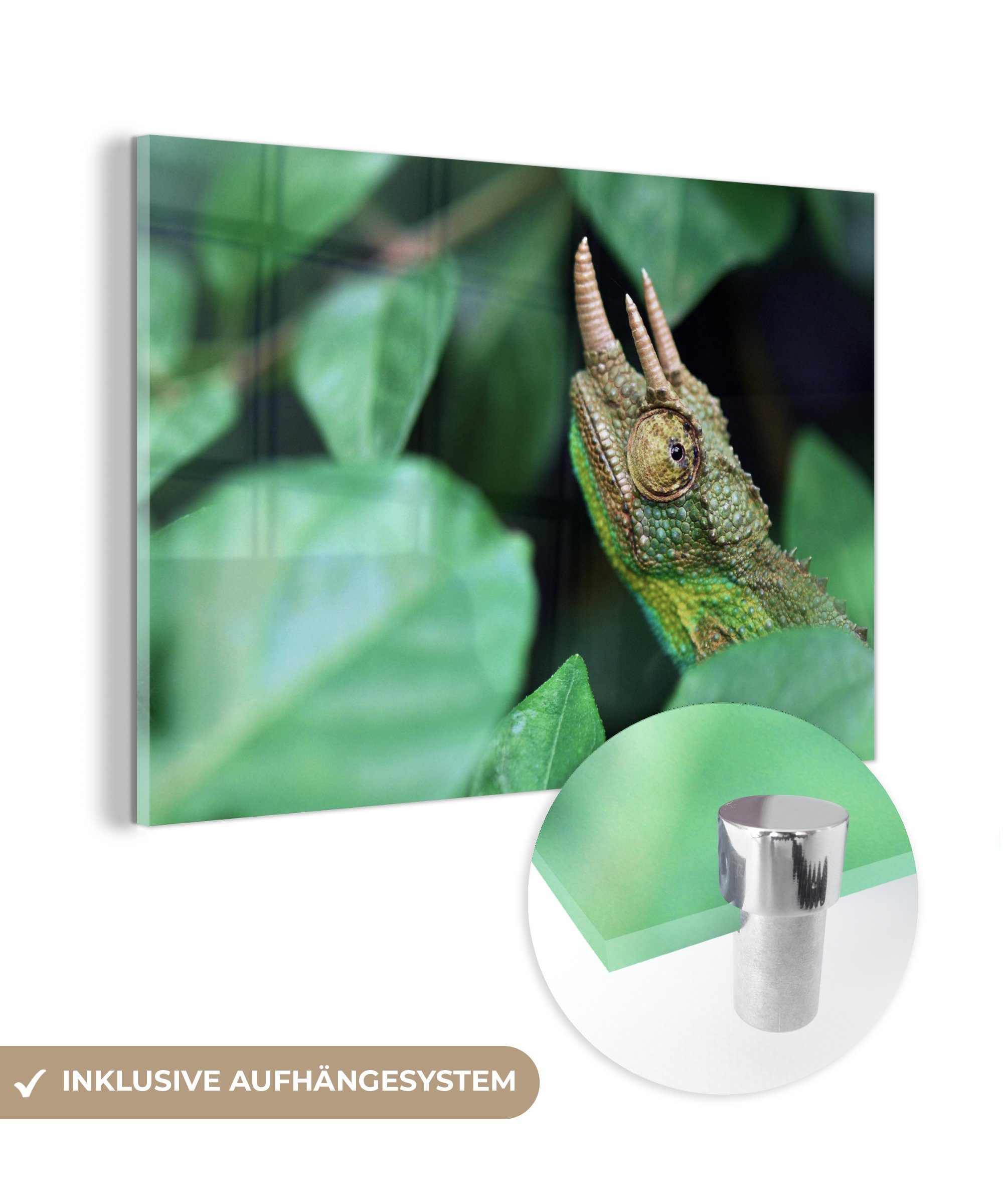 MuchoWow Acrylglasbild Chamäleon - Tier - Horn, (1 St), Acrylglasbilder Wohnzimmer & Schlafzimmer