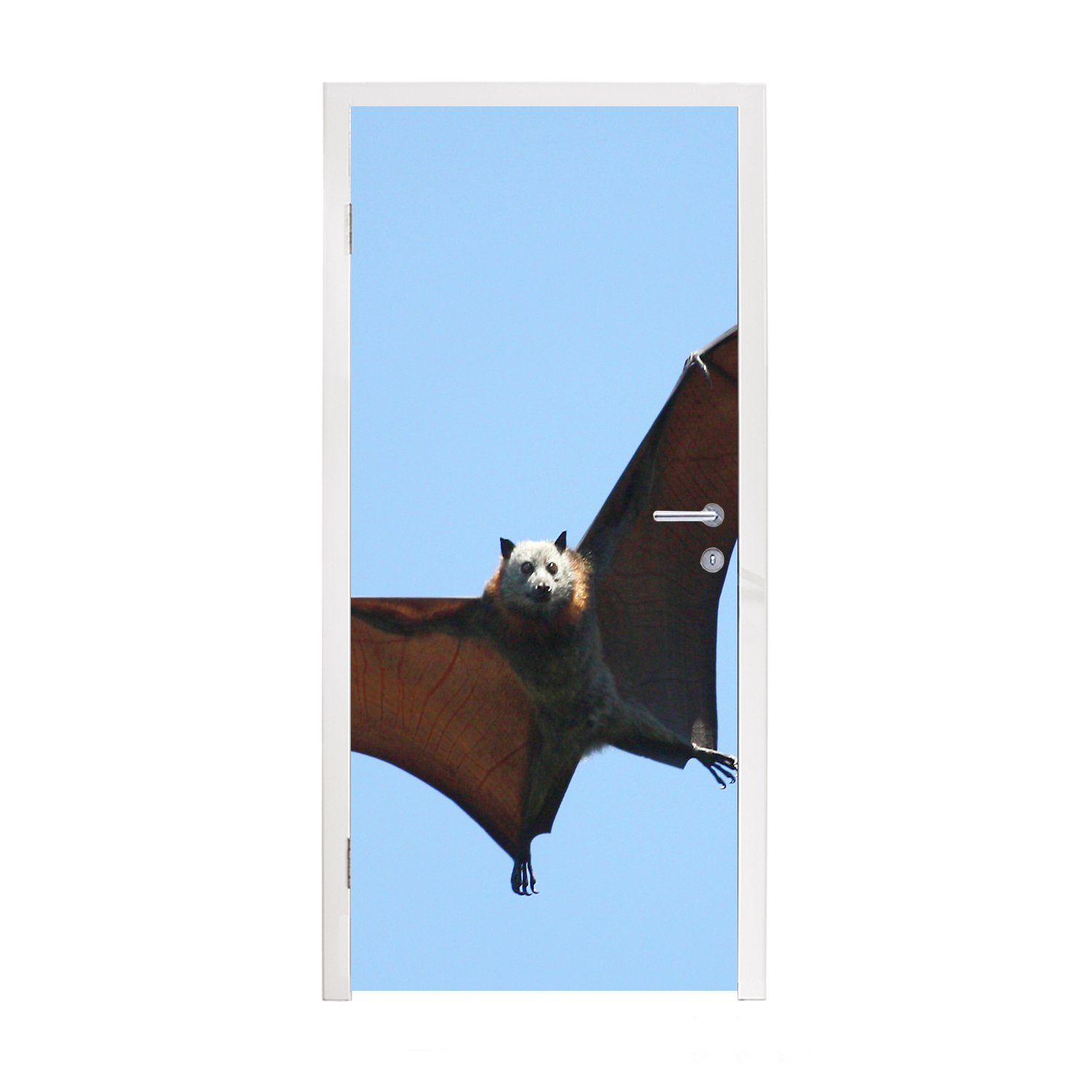 MuchoWow Türtapete Fledermaus - Luft - Flügel, Matt, bedruckt, (1 St), Fototapete für Tür, Türaufkleber, 75x205 cm