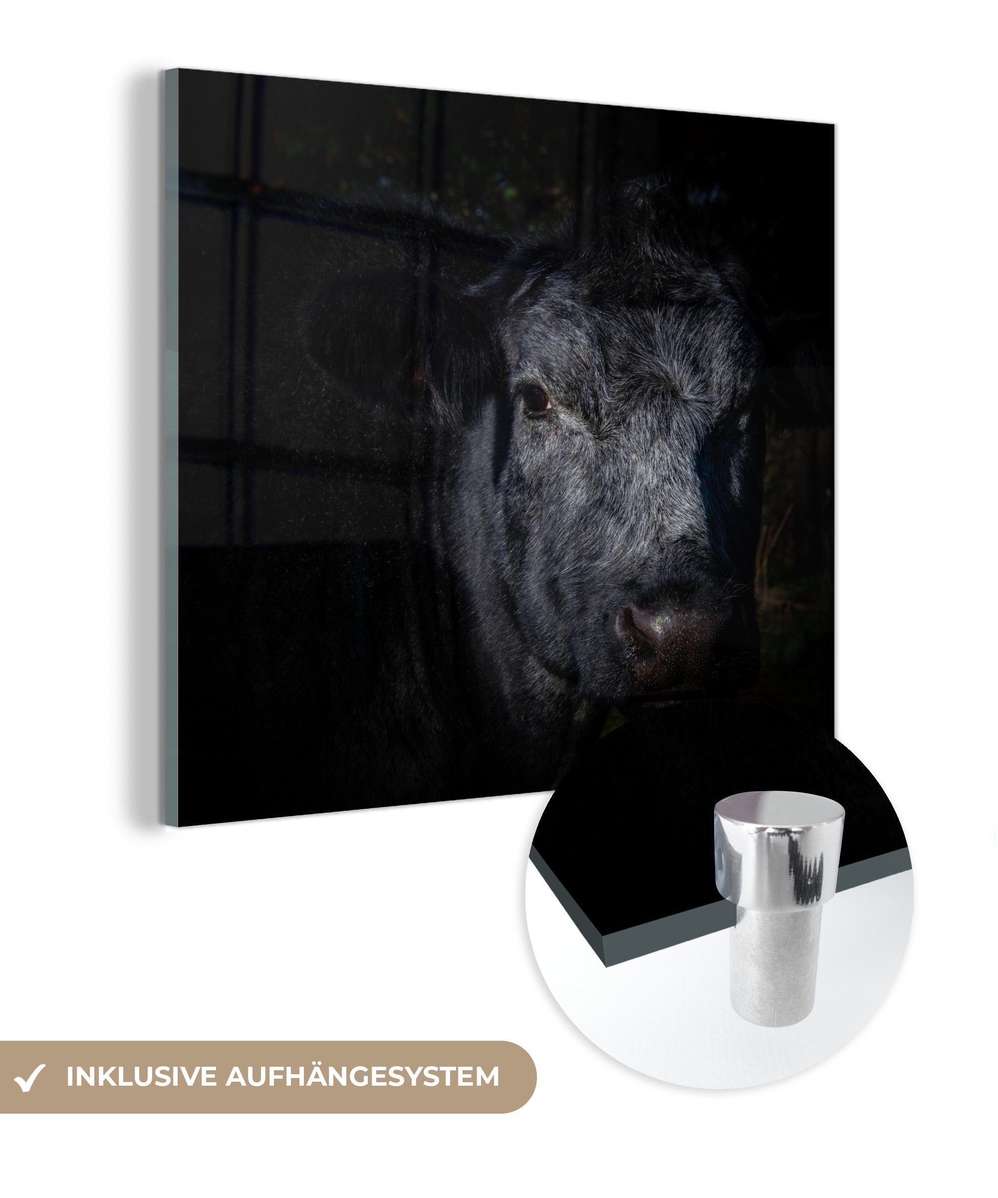 MuchoWow Acrylglasbild Angus-Rindfleisch auf schwarzem Hintergrund, (1 St), Glasbilder - Bilder auf Glas Wandbild - Foto auf Glas - Wanddekoration