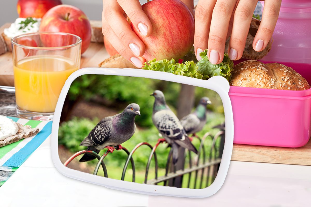 Kunststoff Park, (2-tlg), Brotbox Snackbox, MuchoWow Brotdose für Mädchen, in einem Erwachsene, Zaun rosa Tauben Lunchbox einem auf Kinder, Kunststoff,