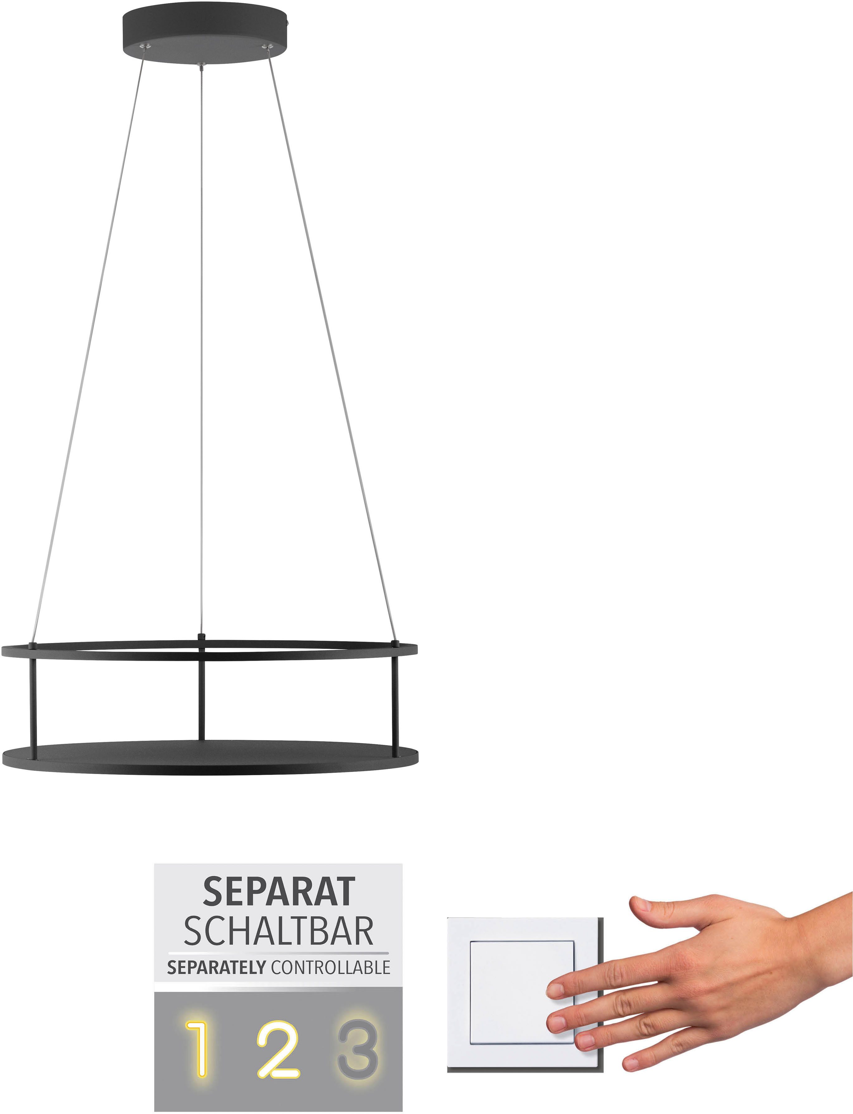 Paul Neuhaus LED Pendelleuchte CONTURA, Memoryfunktion, getrennt schaltbar, LED fest integriert, Warmweiß, Touchdimmer, separat schaltbar, Memoryfunktion, Deko-Ablagefläche