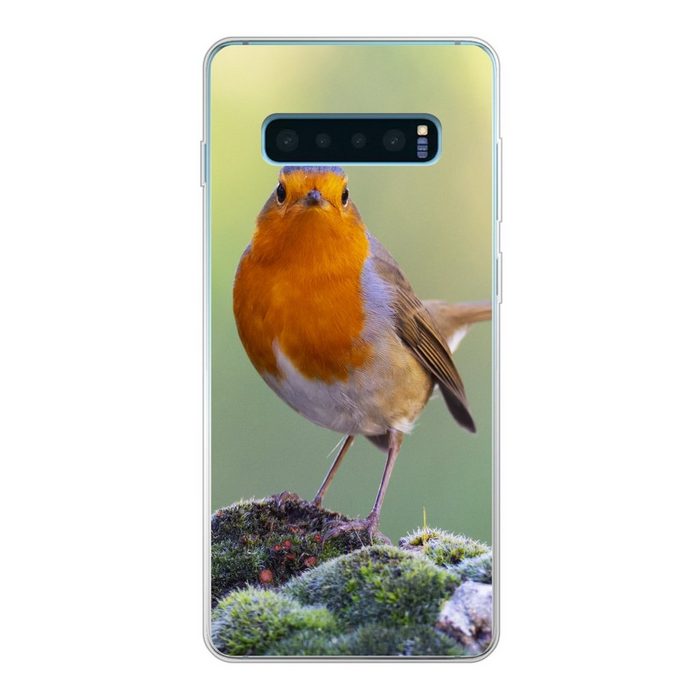 MuchoWow Handyhülle Steine - Rotkehlchen - Natur Phone Case Handyhülle Samsung Galaxy S10 Lite Silikon Schutzhülle