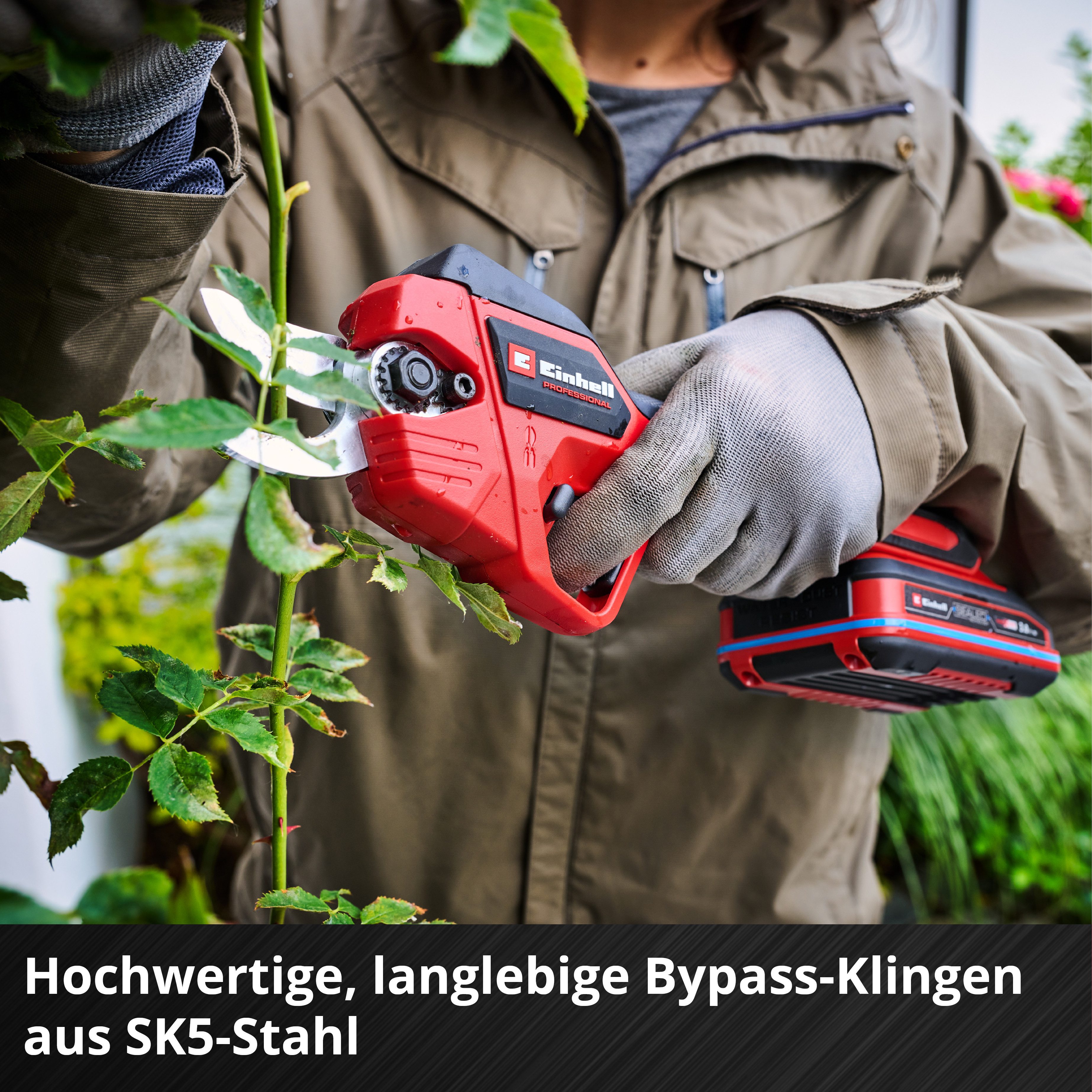 Einhell Akku-Astschere »»GP-LS 18/28 Li BL-Solo««, günstig online kaufen