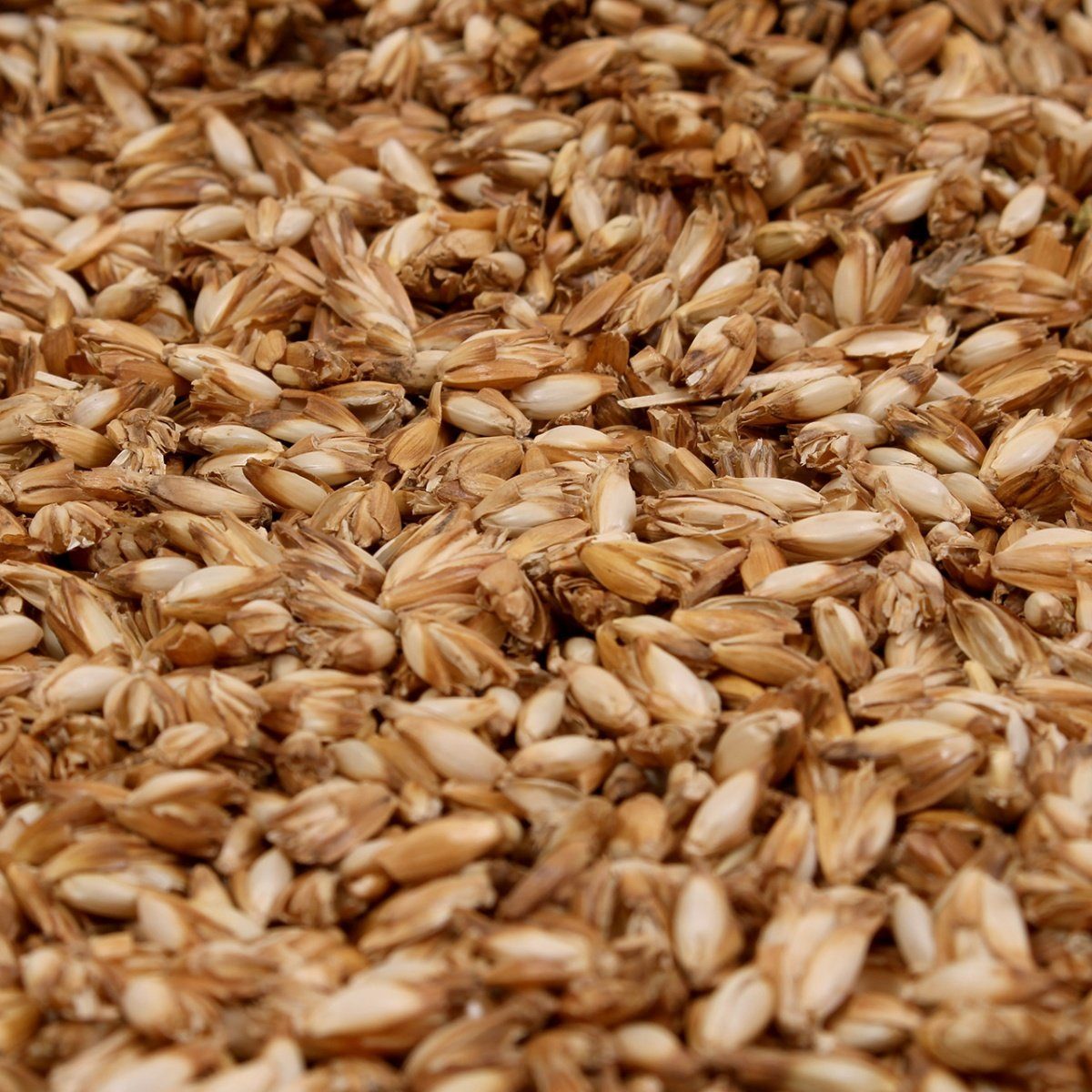 mudis Nackenstützkissen, Füllung: Bio Dinkelspelzen (kbA), Bezug: Baumwolle (Bio), Füllung variabel