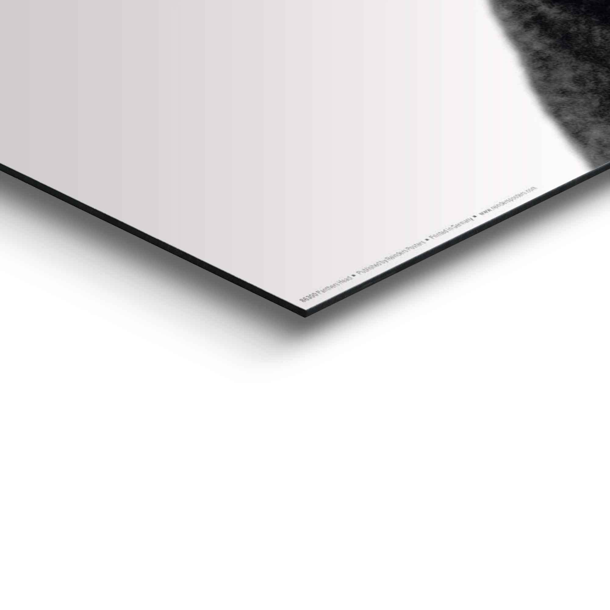 Reinders! Wandbild »Wandbild Schwarzer Panther Tierportrait - Seitenblick«, Tiere (1 Stück)-kaufen