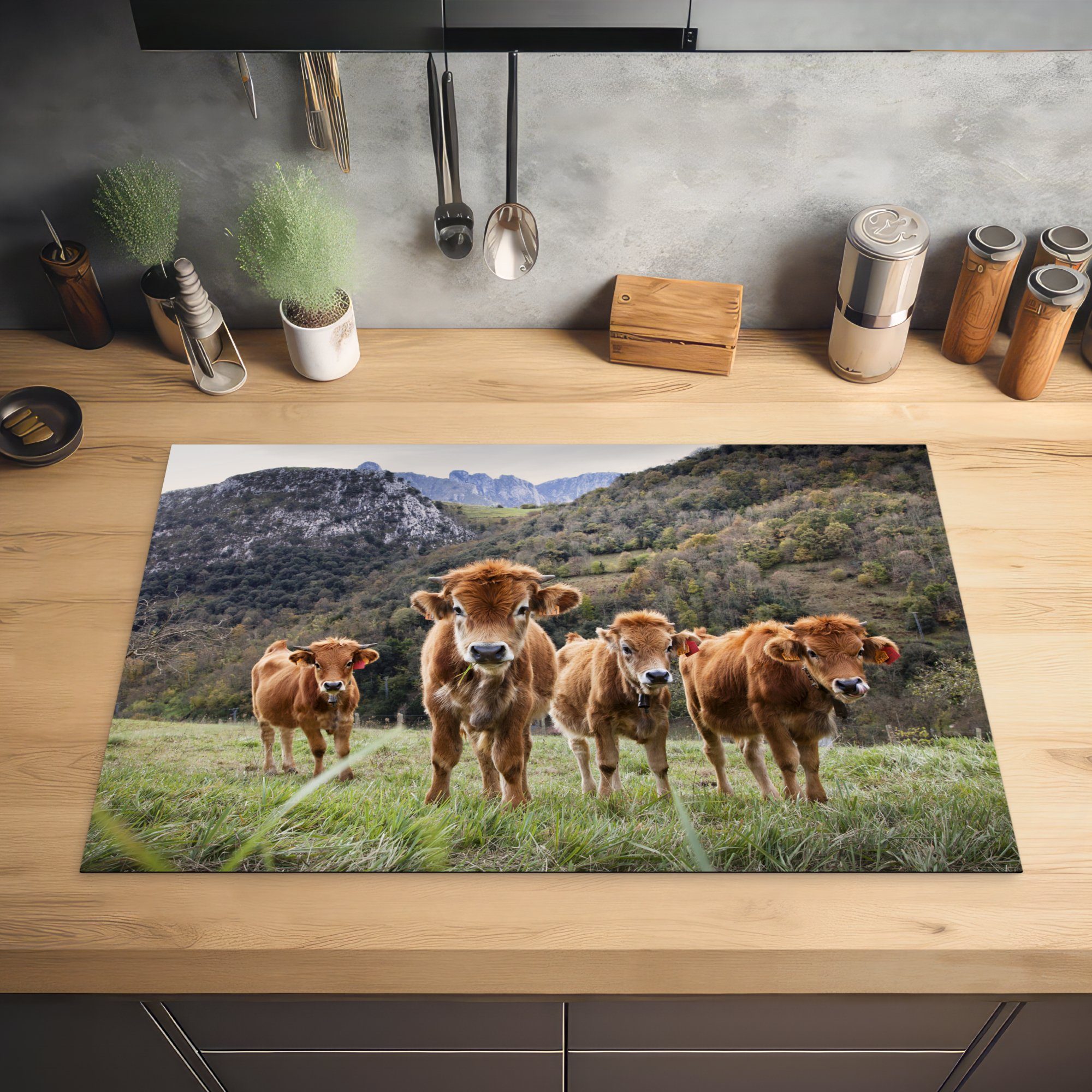 Vinyl, für Induktionskochfeld die Herdblende-/Abdeckplatte küche, cm, von Schutz Gruppe Ceranfeldabdeckung 81x52 Kälbern, Eine (1 tlg), MuchoWow