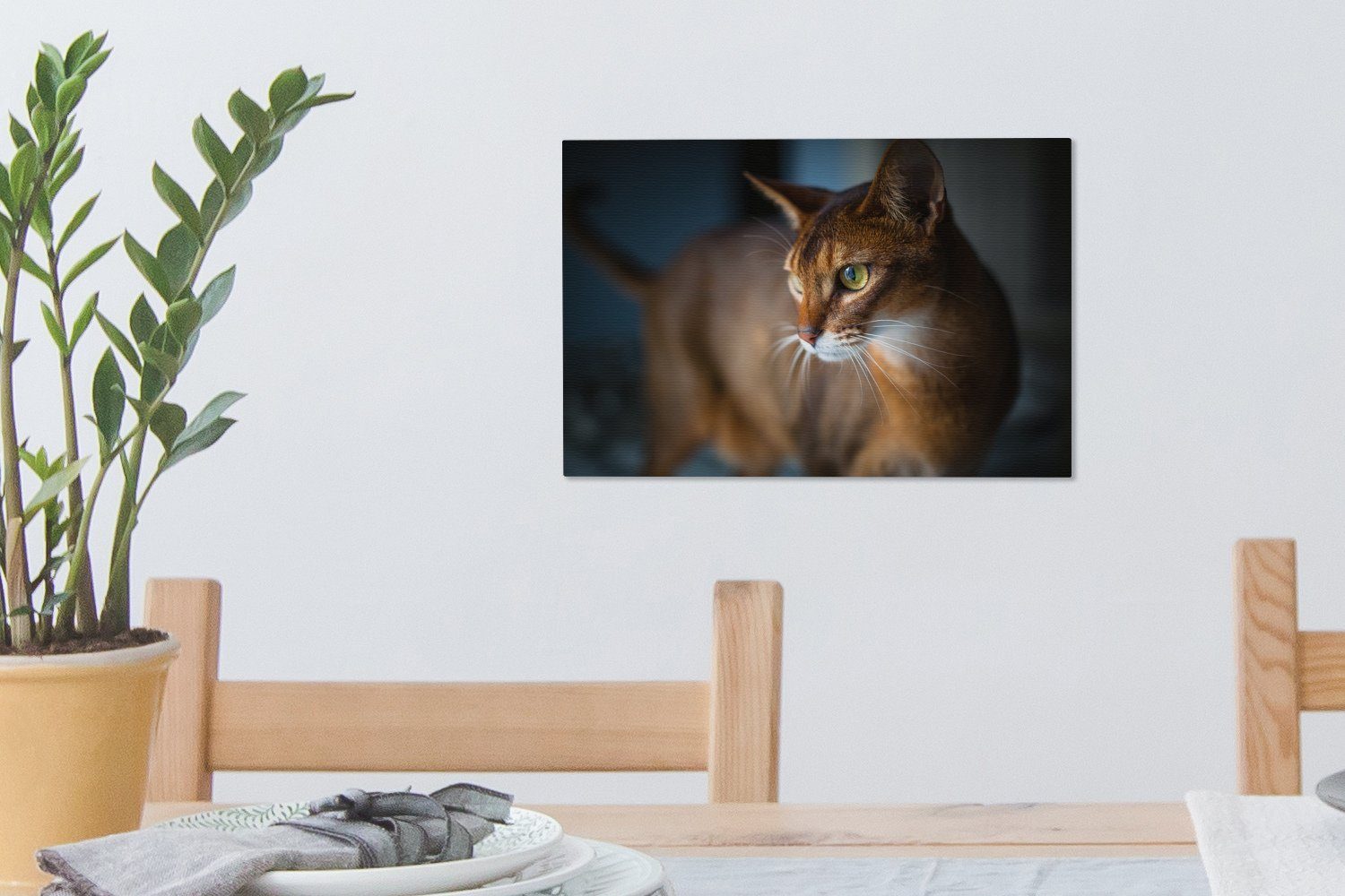 OneMillionCanvasses® Leinwandbild Katze - Abessinier Haustiere 30x20 - Wanddeko, Leinwandbilder, St), - (1 Wandbild Aufhängefertig, cm Porträt