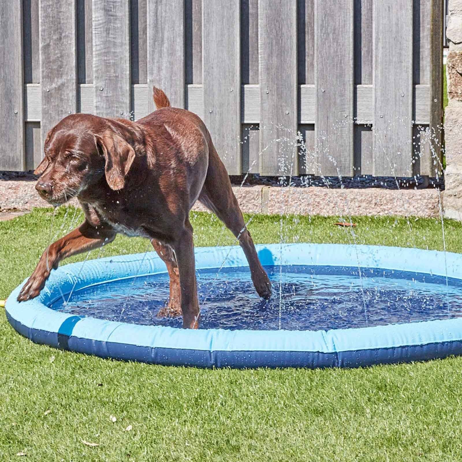 HAC24 Planschbecken Hundepool Kinder Hunde Hundebad Kinderpool, mit Sprinkler Ø 130 cm Aufblasbar