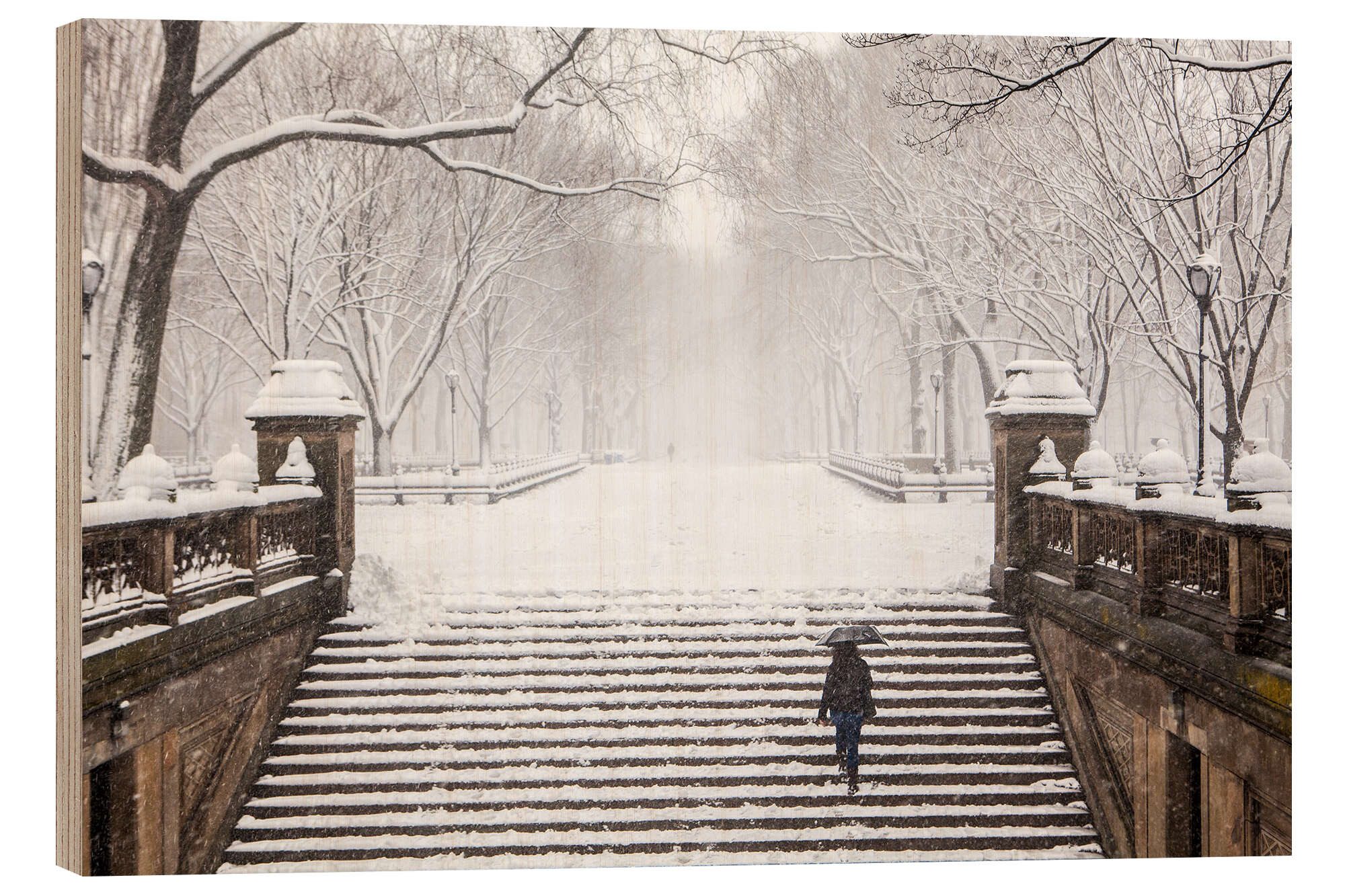 Posterlounge Wandbild Winter im Central Park, Editors Choice, erhältlich als Poster, Leinwandbild, Wandsticker oder Acrylglasbild