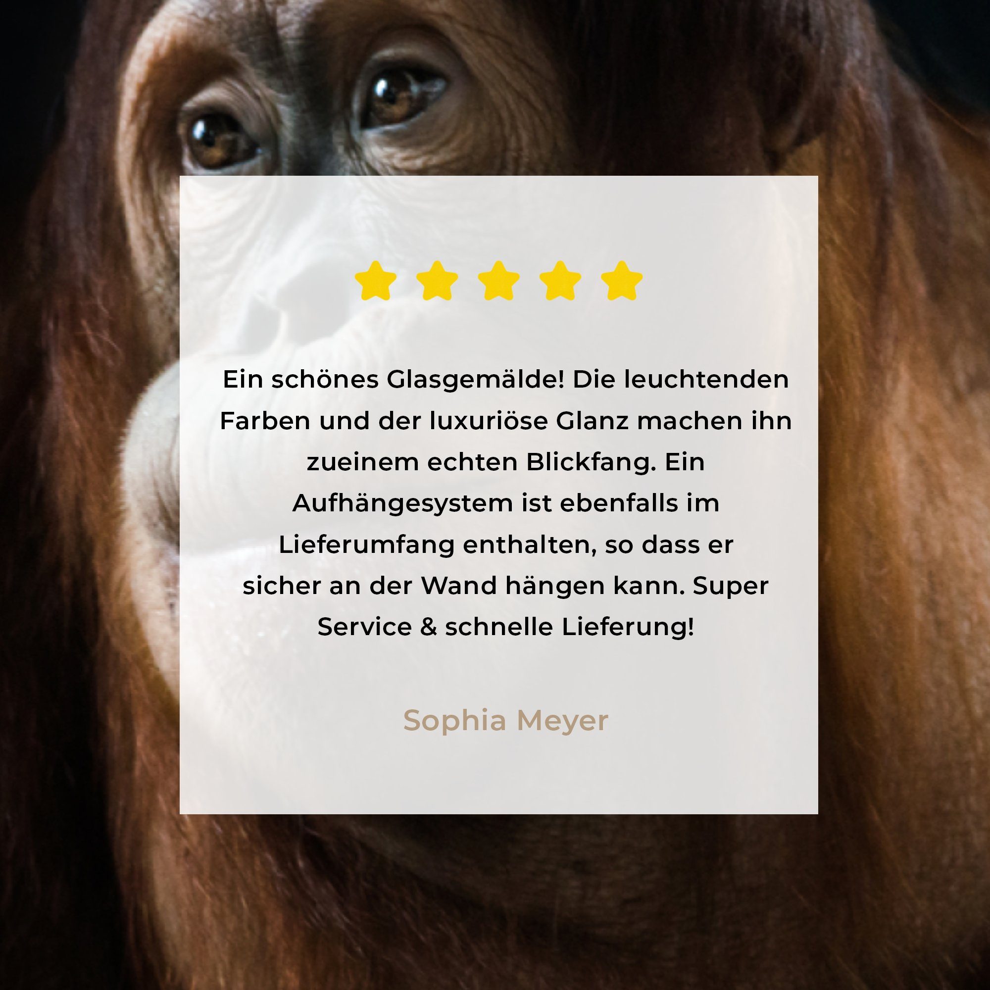 Acrylglasbilder Wohnzimmer & St), MuchoWow Acrylglasbild (1 Sumatra-Orang-Utan, Schlafzimmer