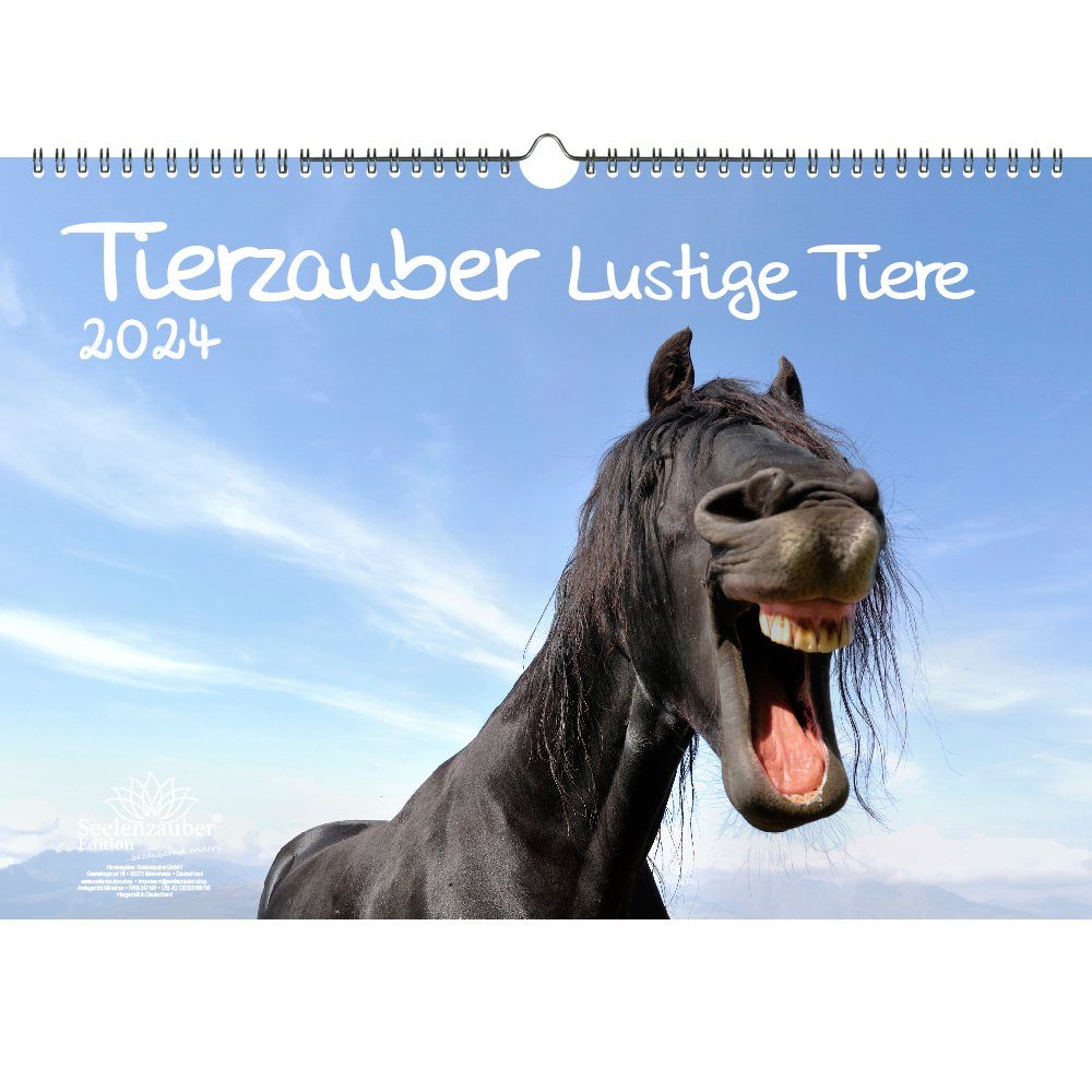 Seelenzauber Wandkalender Tierzauber lustige Tiere DIN A3 Kalender für