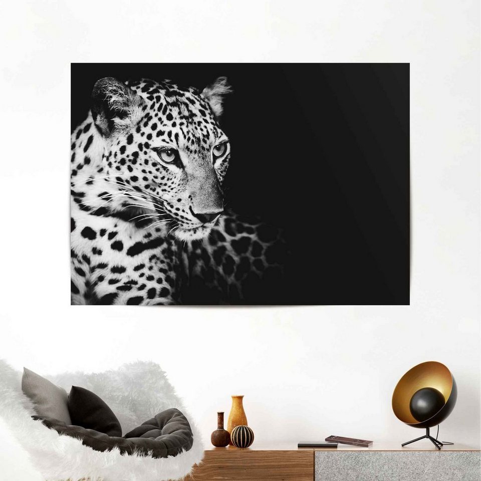 Reinders! Poster Leopard, Qualitätsprodukt - Unsere Poster werden  ausschließlich in Europa