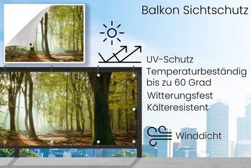 MuchoWow Balkonsichtschutz Wald - Sonne - Jahreszeiten - Landschaft (1-St) Balkonbanner, Sichtschutz für den Balkon, Robustes und wetterfest