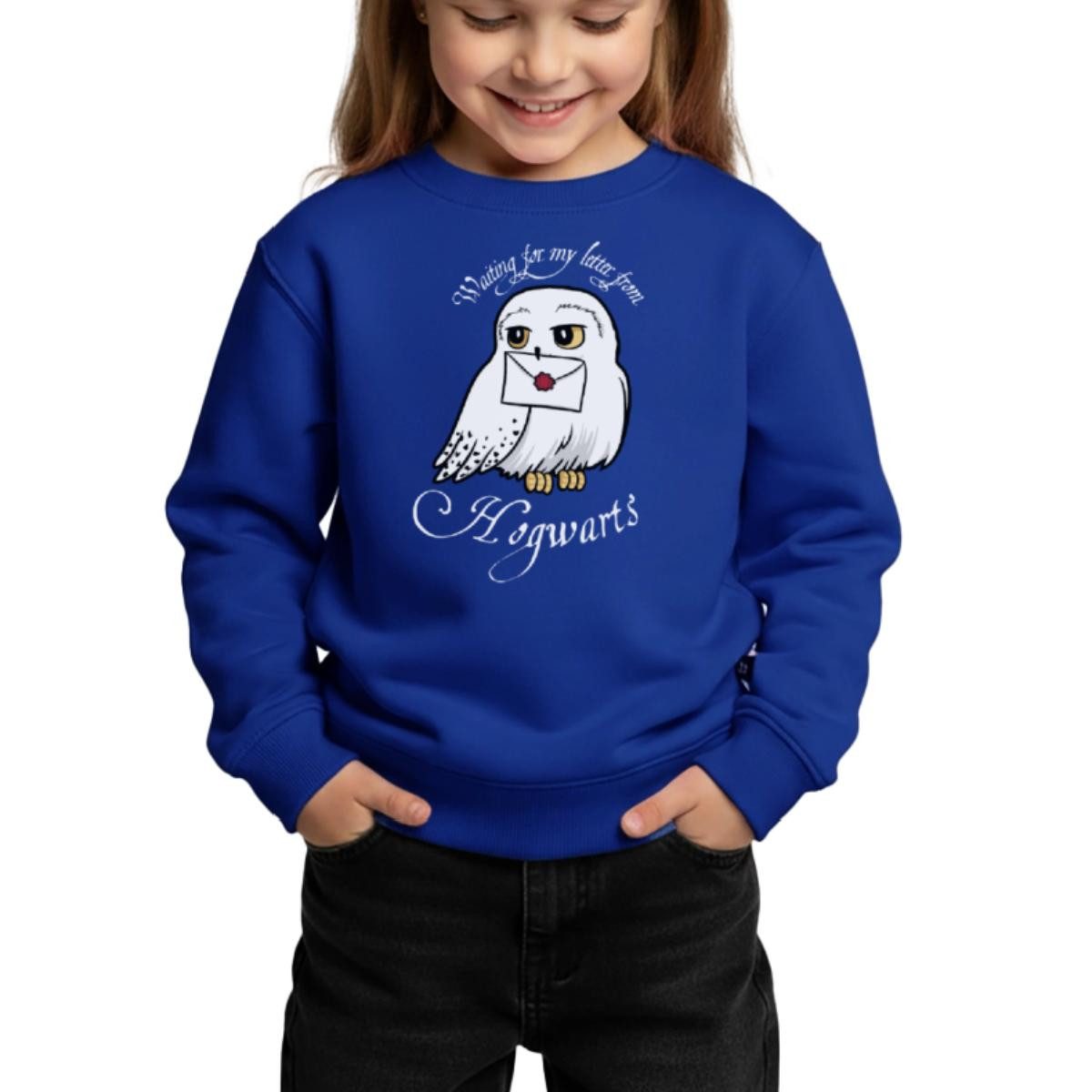 Sweatshirt Harry Potter Hedwig Brief Kinder Premium Pullover
