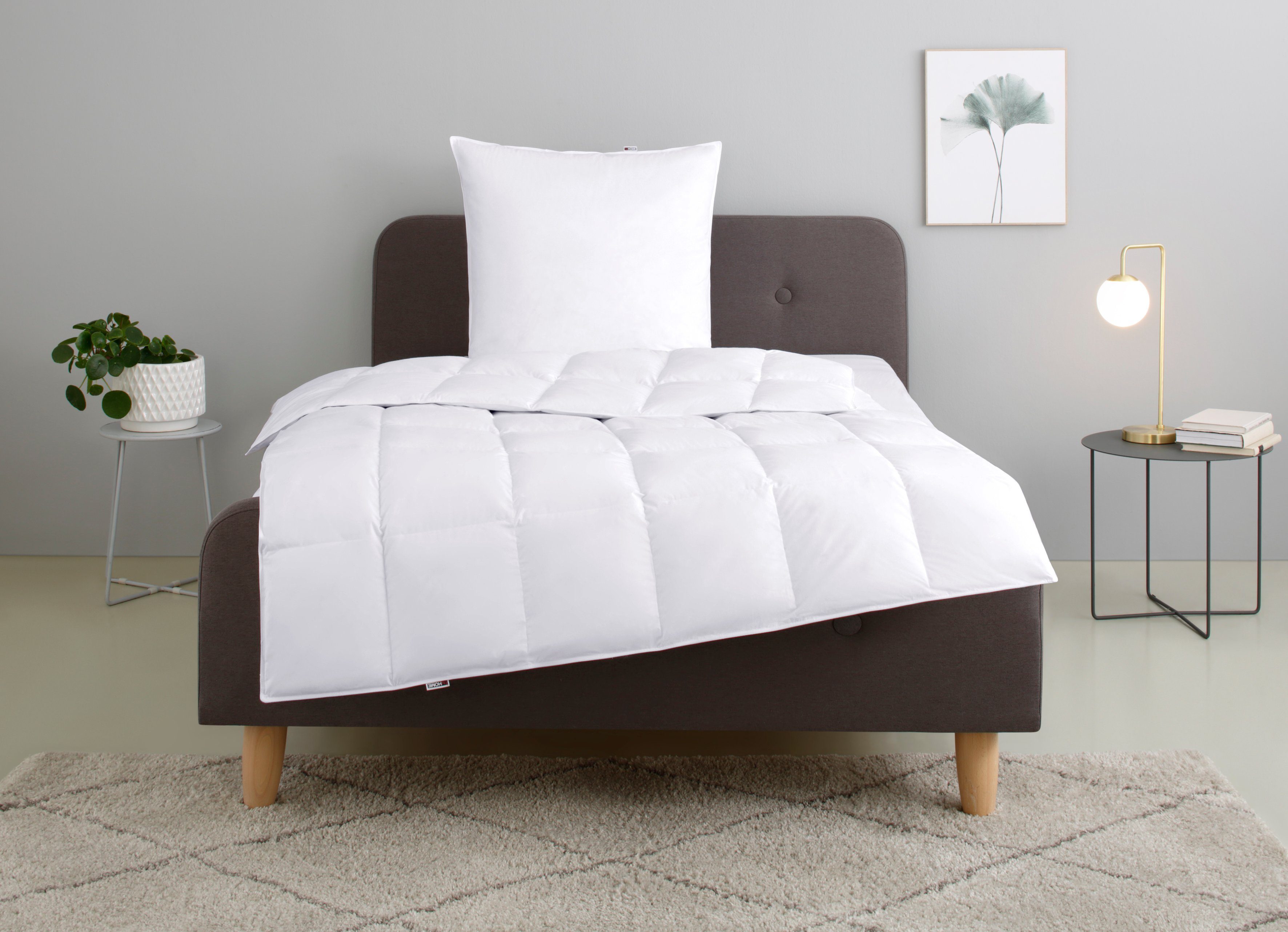 my home Federbettdecke + Kopfkissen Irah Bettdecke 135x200 cm, 155x220 cm, günstig online kaufen