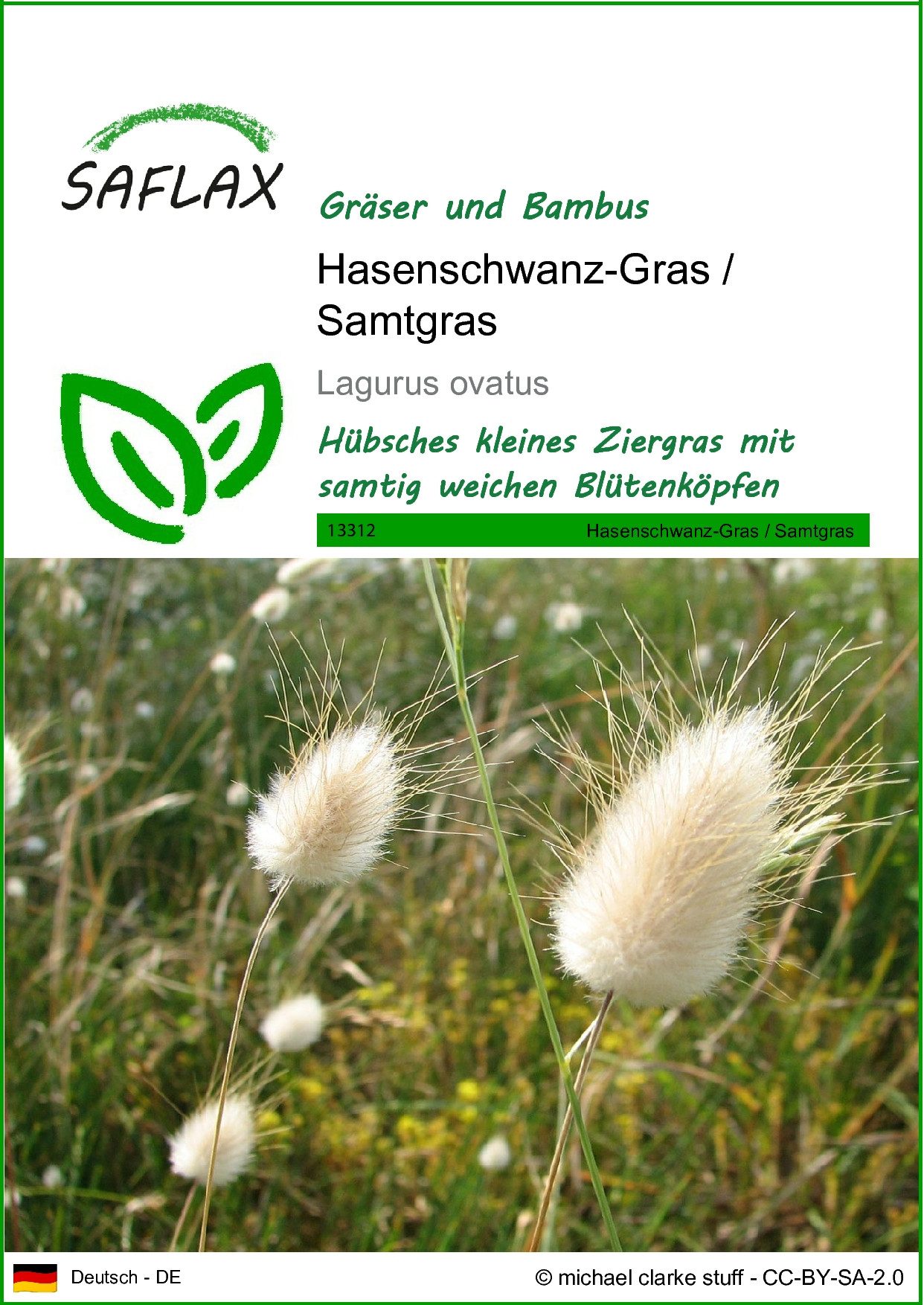 SAFLAX Blumensamen SAFLAX - Samen - Hasenschwanz-Gras / Samtgras