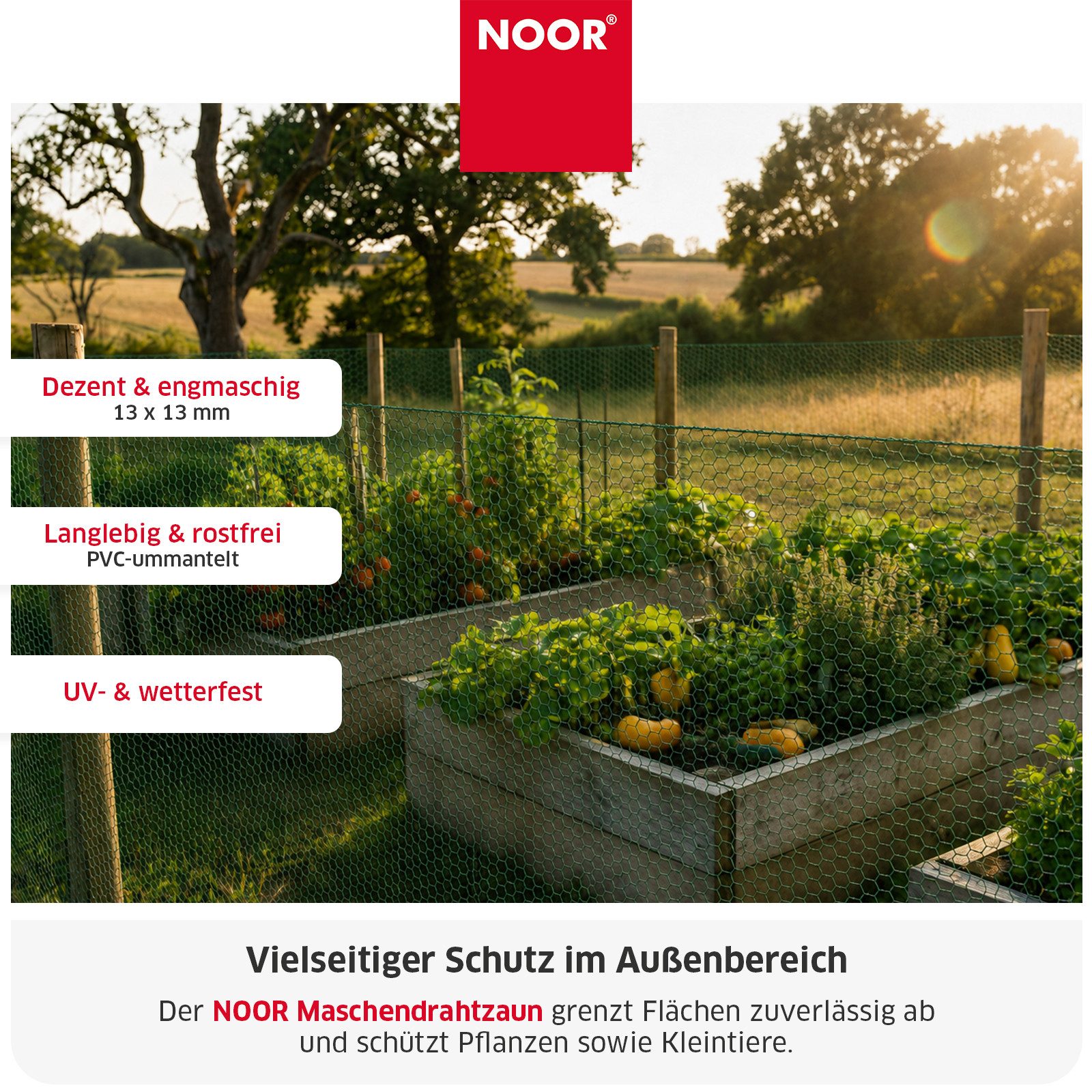 NOOR Volierendraht Maschendrahtzaun - Schutz für Garten & Grundstück, Engmaschiges und korrosionsbeständiges Drahtgeflecht - wetterfest