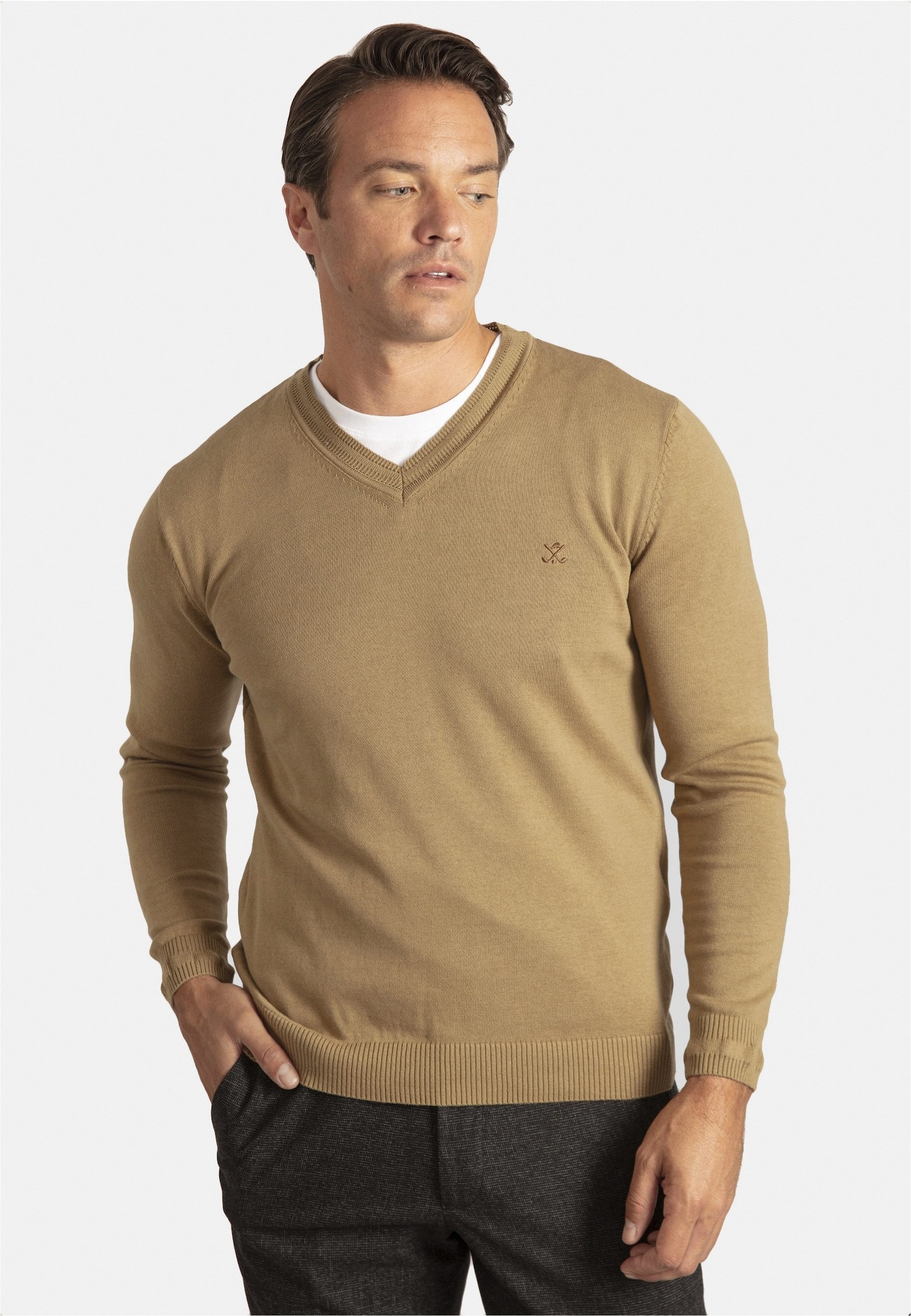 SIR RAYMOND TAILOR Strickpullover Los Angeles (1-tlg) mit klassischem V-Aus günstig online kaufen